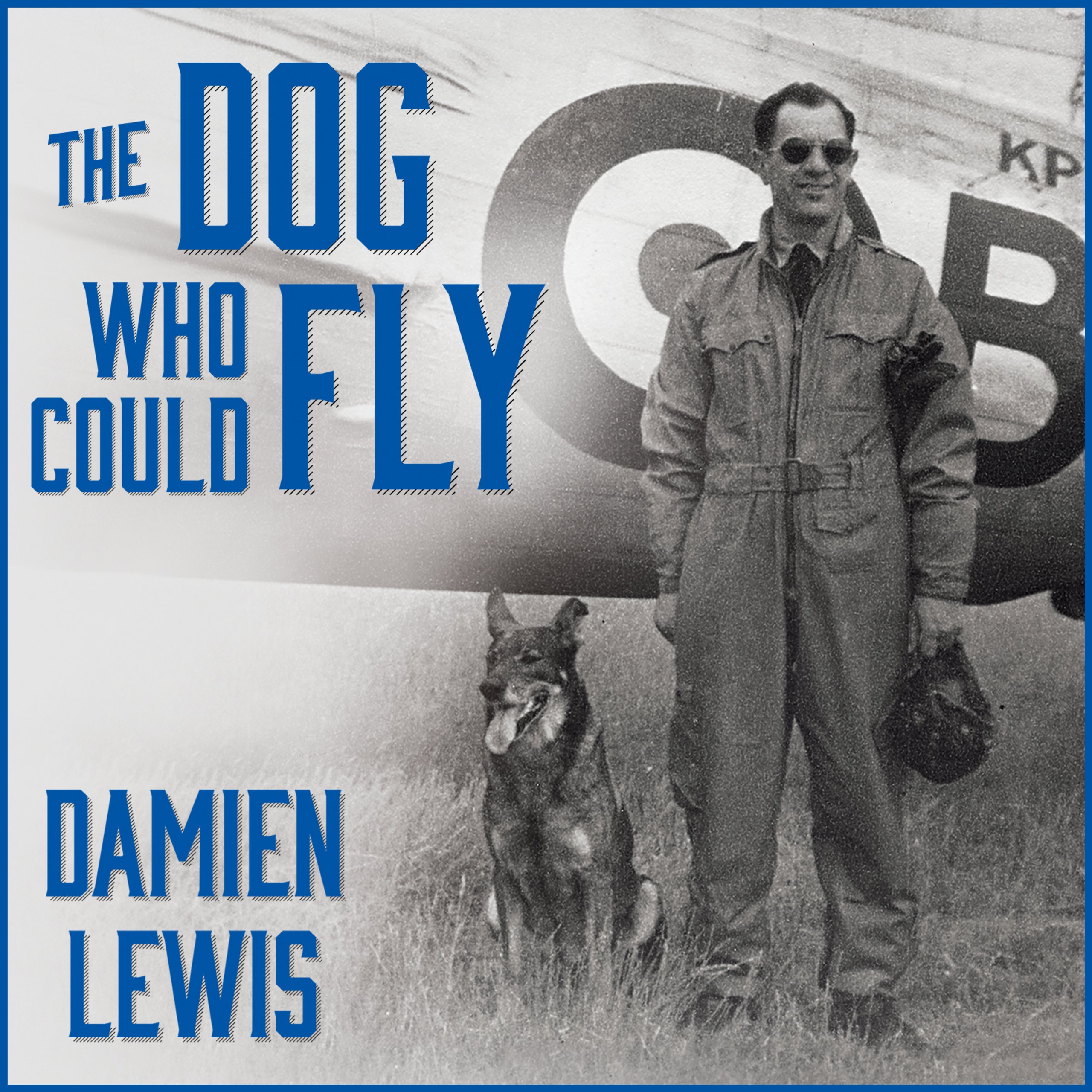 Cover art for The Dog Who Could Fly
