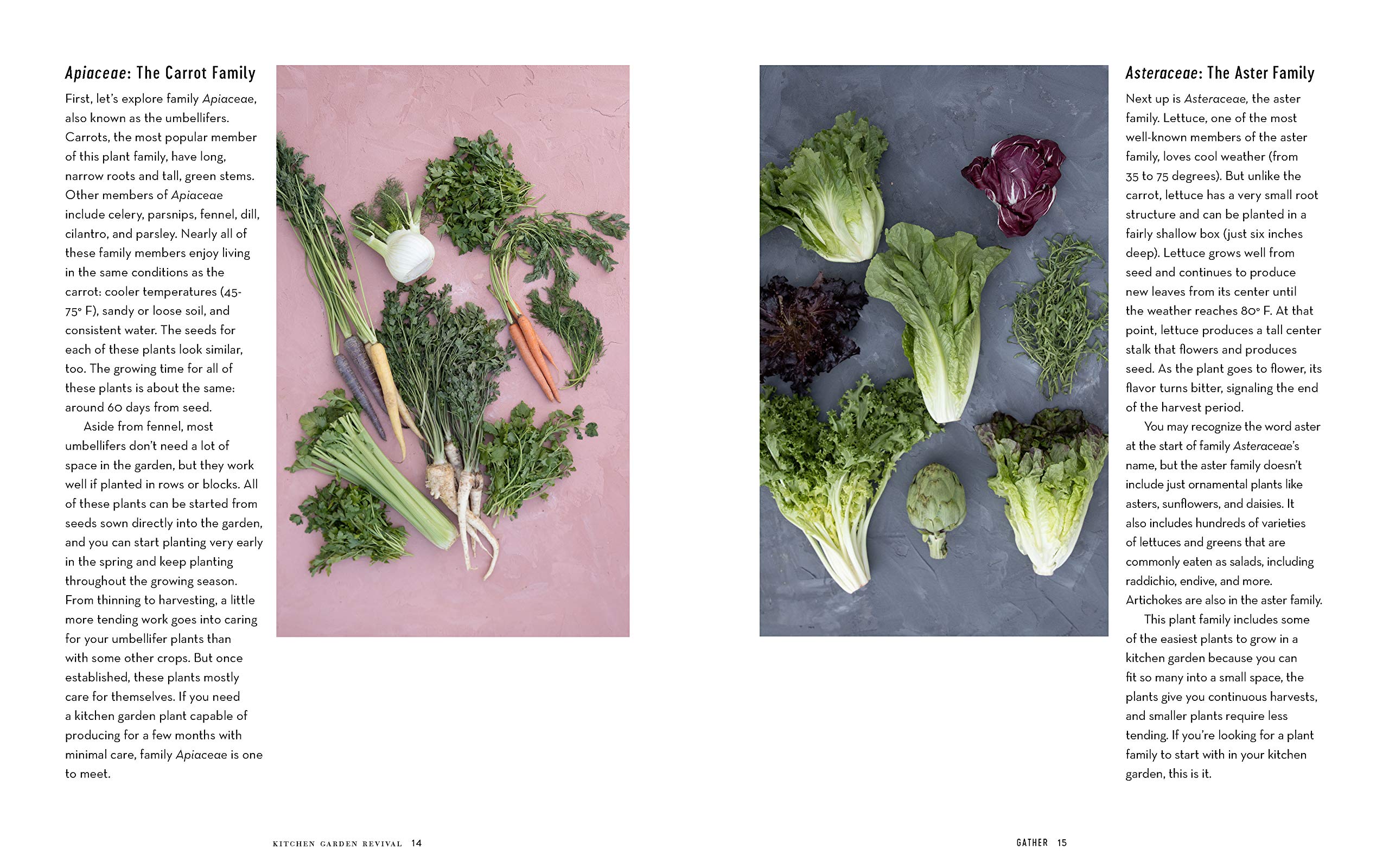 Kitchen Garden Revival: A modern guide to creating a stylish, small-scale, low-maintenance, edible garden — Amazon image 5
