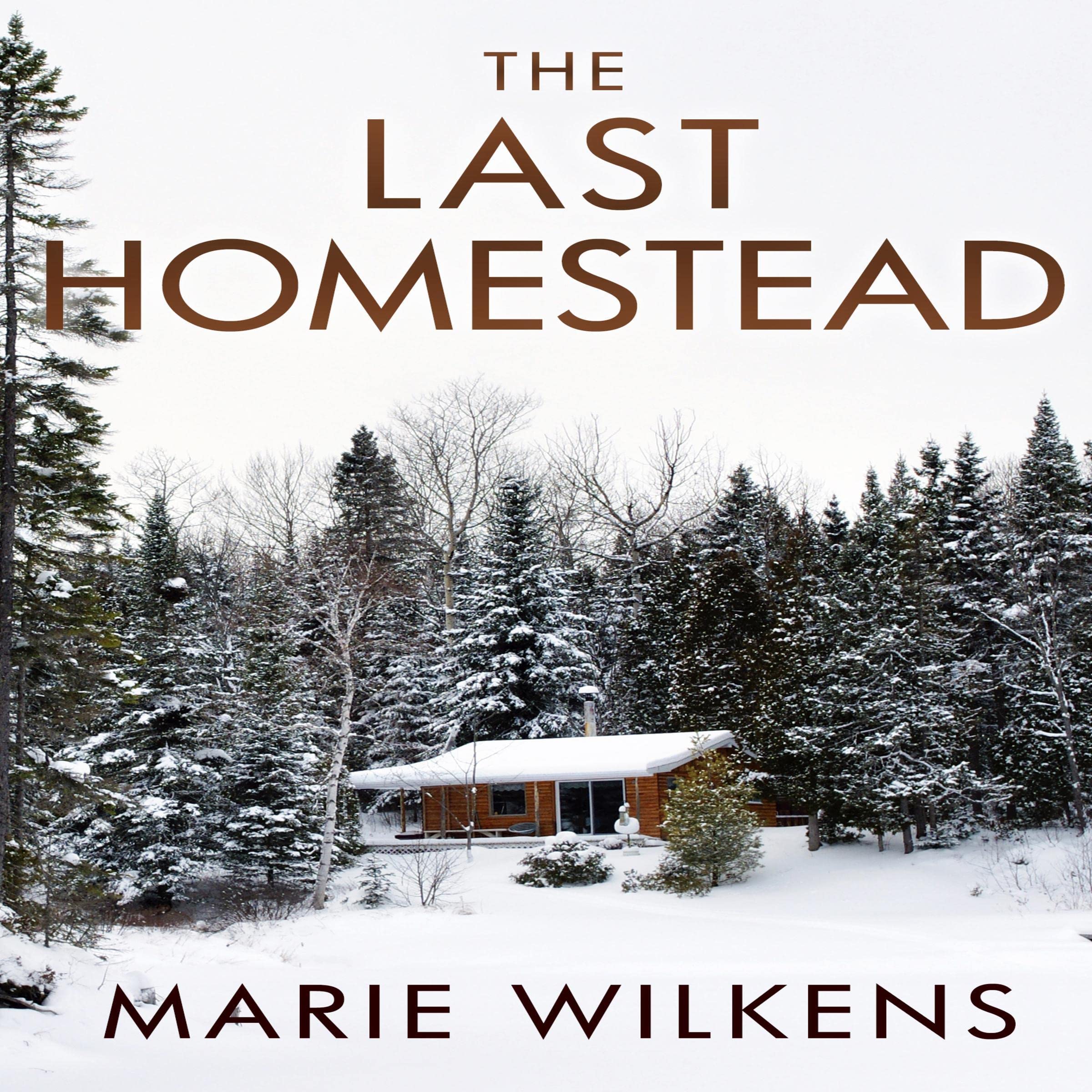 Cover art for The Last Homestead