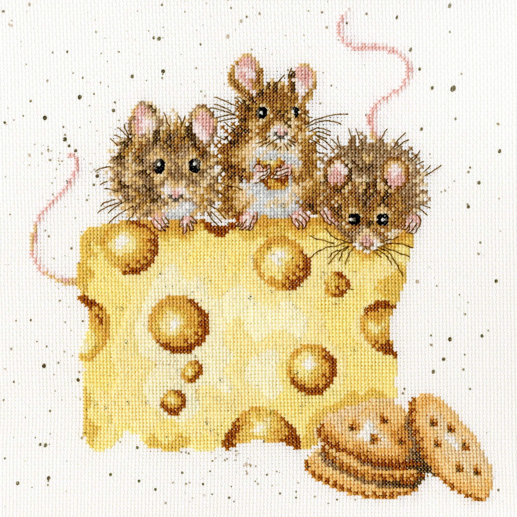 Bothy Threads counted cross stitch Kit ""Crackers About Cheese"", 26x26cm, XHD53