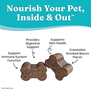 Solid Gold Dog Multivitamin – Bacon Flavored Dog Vitamins Chewable Supplement – Pumpkin & Probiotics for Digestive Support – Biotin for Healthy Skin & Coat – Vitamin C for Immune Support – 120 Count