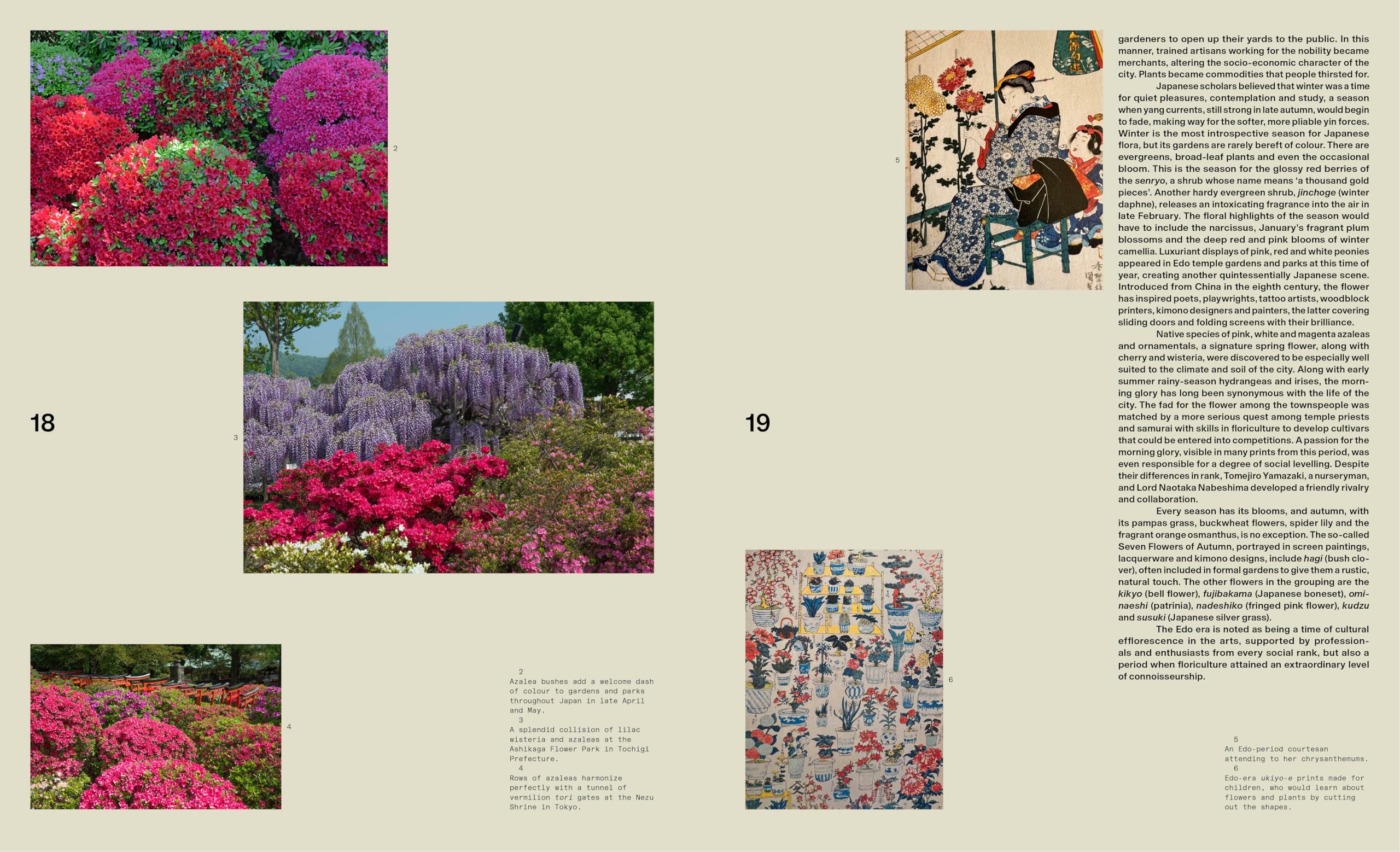 The Modern Japanese Garden /anglais