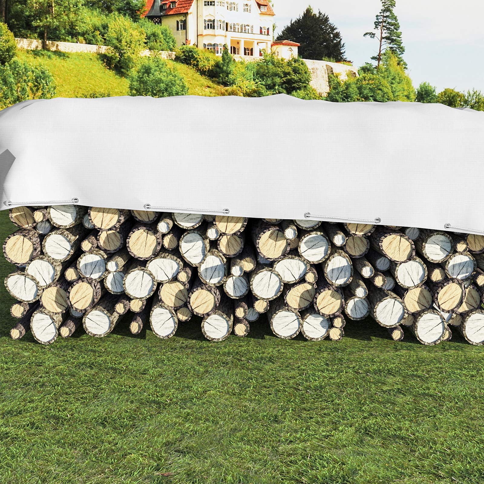 Laneetal Lona Impermeable Exterior 3x6m, Toldo Reforzado PE 280 g/m² Protección contra UV, con Ojales de Acero Inoxidable para Leña, Muebles, Jardín, Piscinia, Vehículos, Blanco
