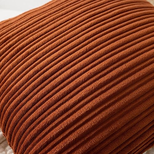 Miniatura 77 de UGASA - Juego de 2 fundas de almohada de terciopelo a rayas, funda decorativa para cojín con cremallera oculta para el hogar, sofá, dormitorio,