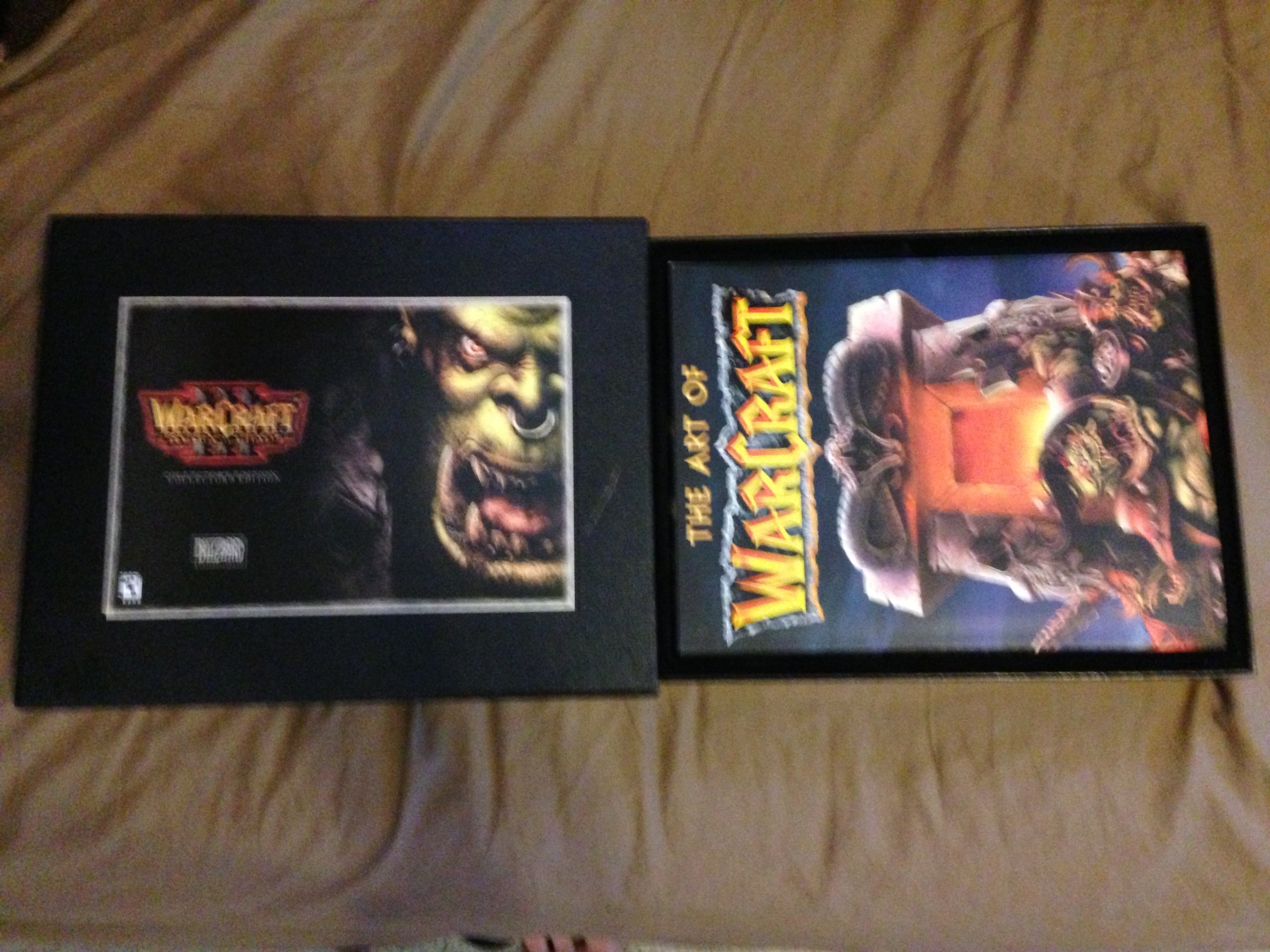 Amazon.com: WarCraft III: Reign of Chaos Collector's Edition - PC