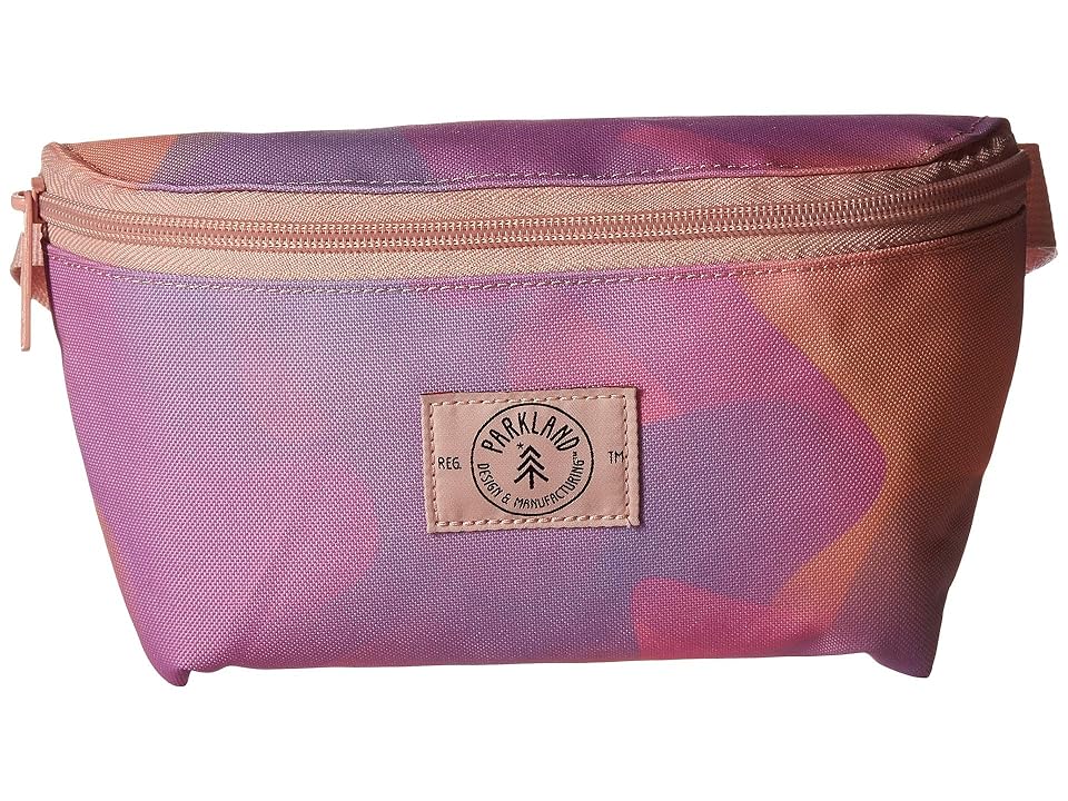 

Parkland Bobbi Recycled Fanny Pack (Little Kids/Big Kids) (Pink Cloud) Bags