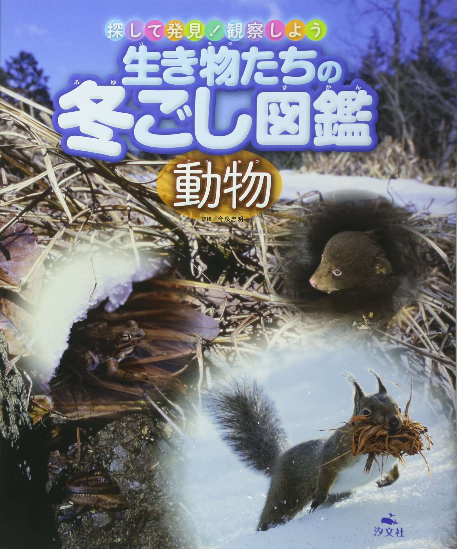 島の生きものたち　淡路の生物誌 島の生きものたち 淡路の生物誌 島の生きものたち 淡路の生物誌