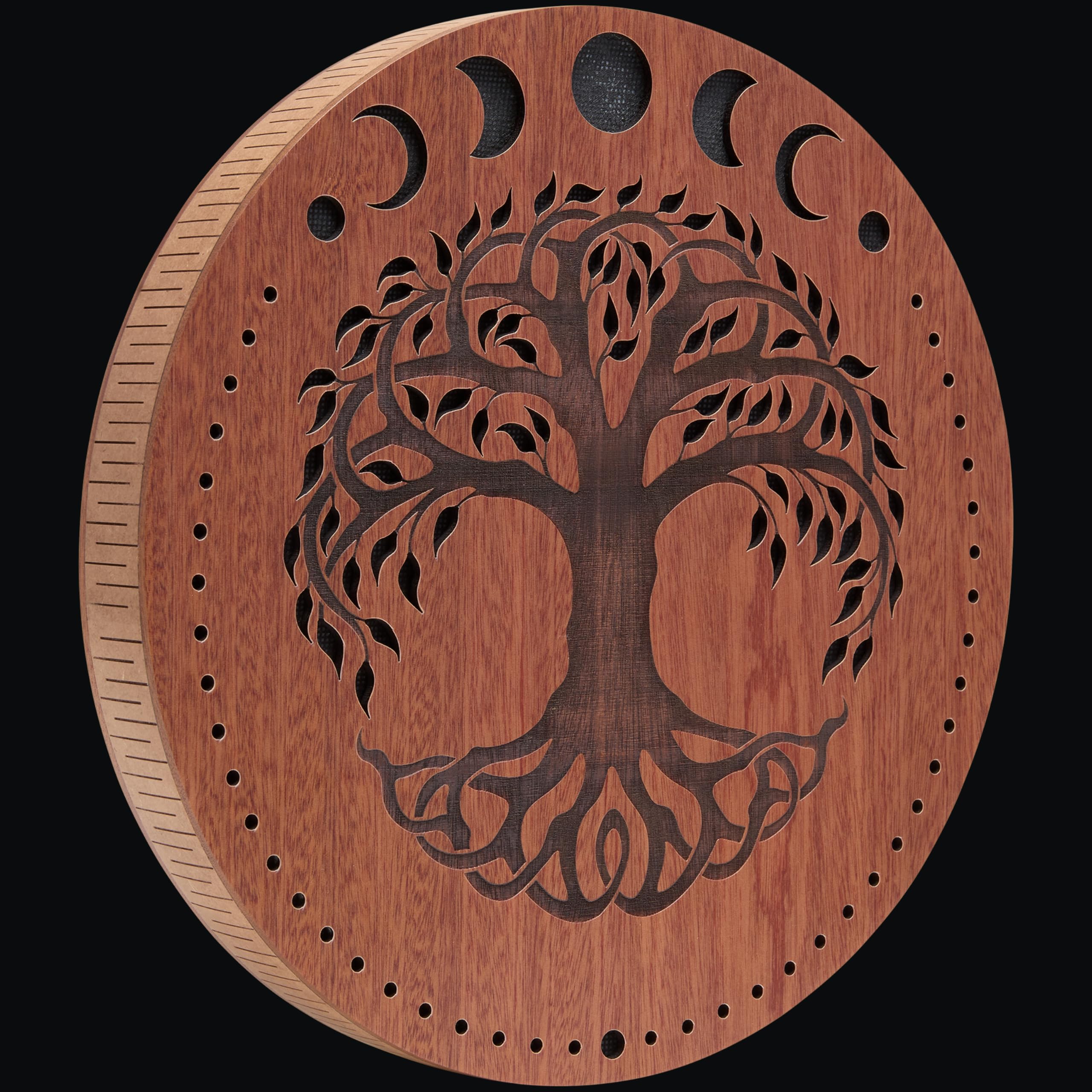 Meinl Sonic Energy - Disco de lluvia, 12 pulgadas, efectos de sonido de agua y corriente para meditación, yoga, baños de sonido, música