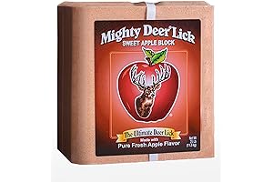 Lick Attractant Block 25 LB - Deer Can't Resist, Balanced Nutrition (Sweet Apple)