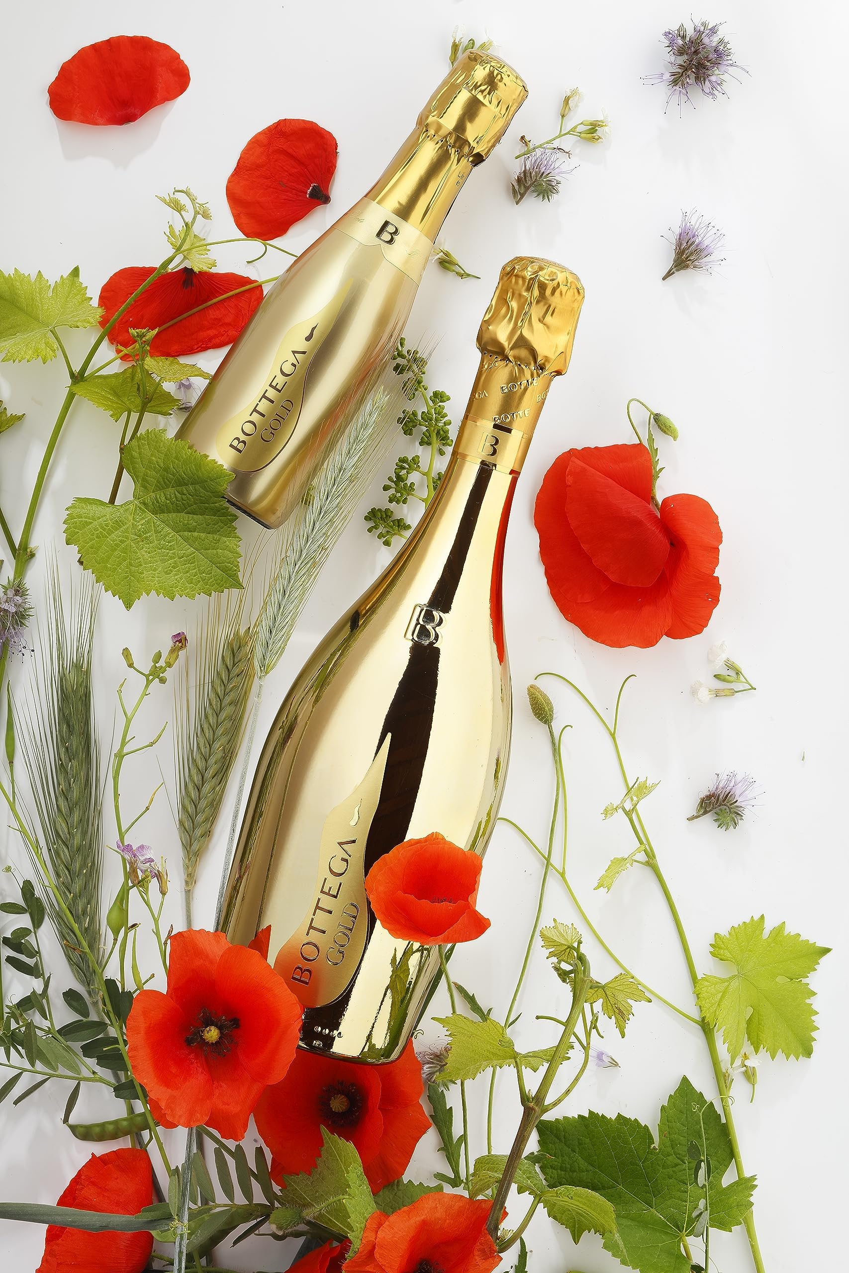 Bottega GOLD Prosecco DOC Brut 11% - 750ml