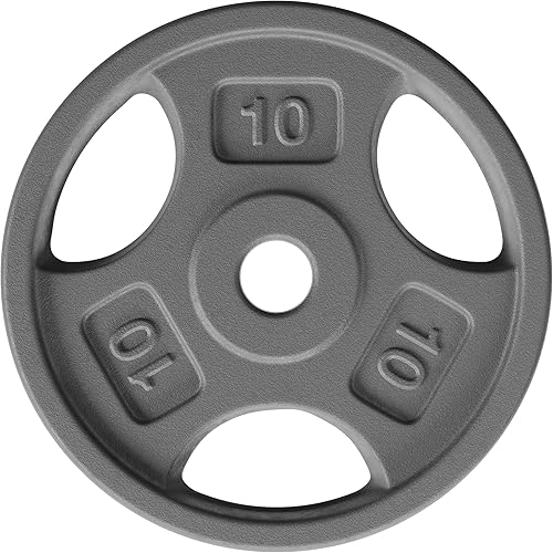 Yes4All Placas de peso de agarre estándar de 1 pulgada, hierro fundido con varios tamaños de 2.5 libras a 35 libras para entrenamiento de fuerza,