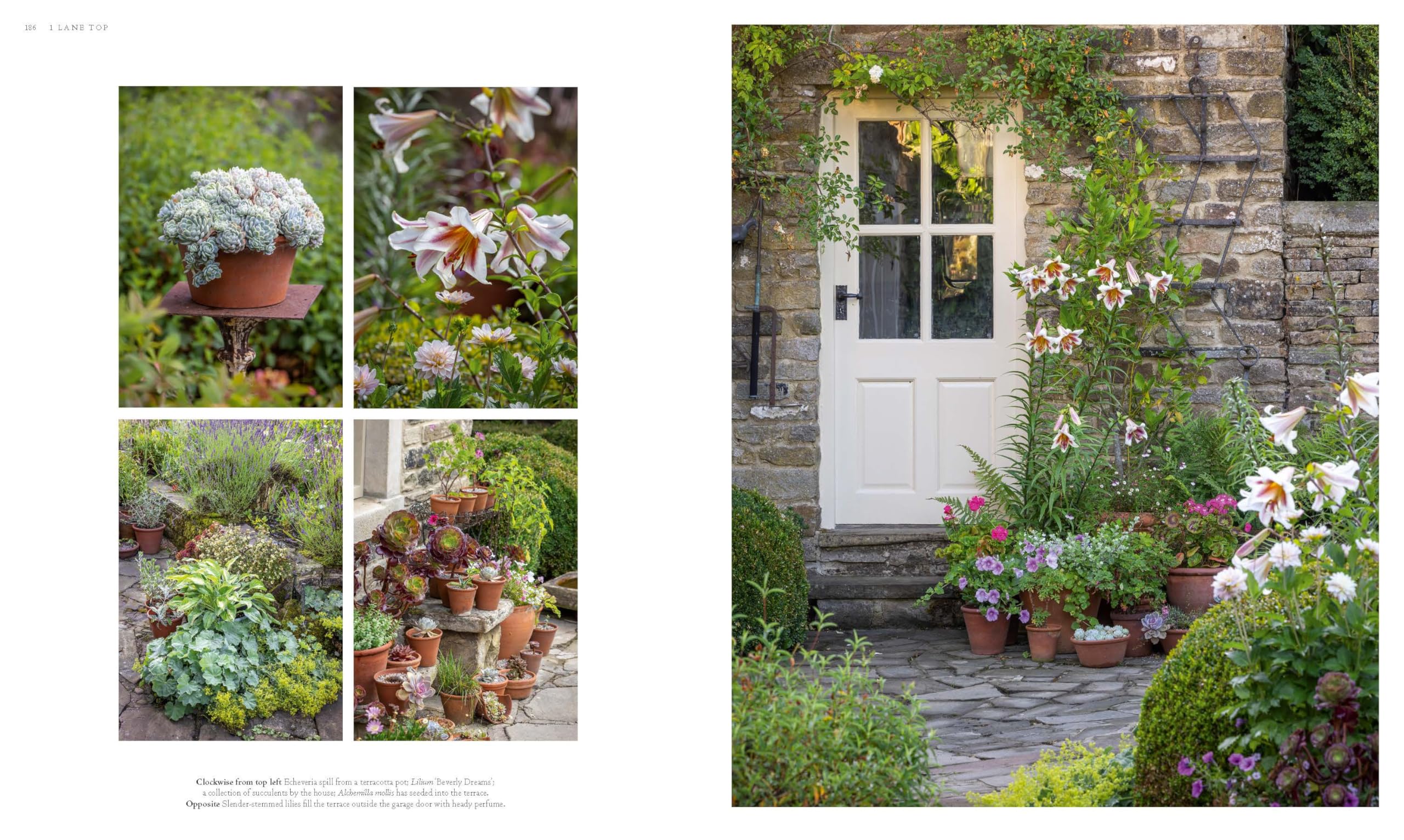Cottage Gardens: A Stunning Tour of Bucolic British Gardens