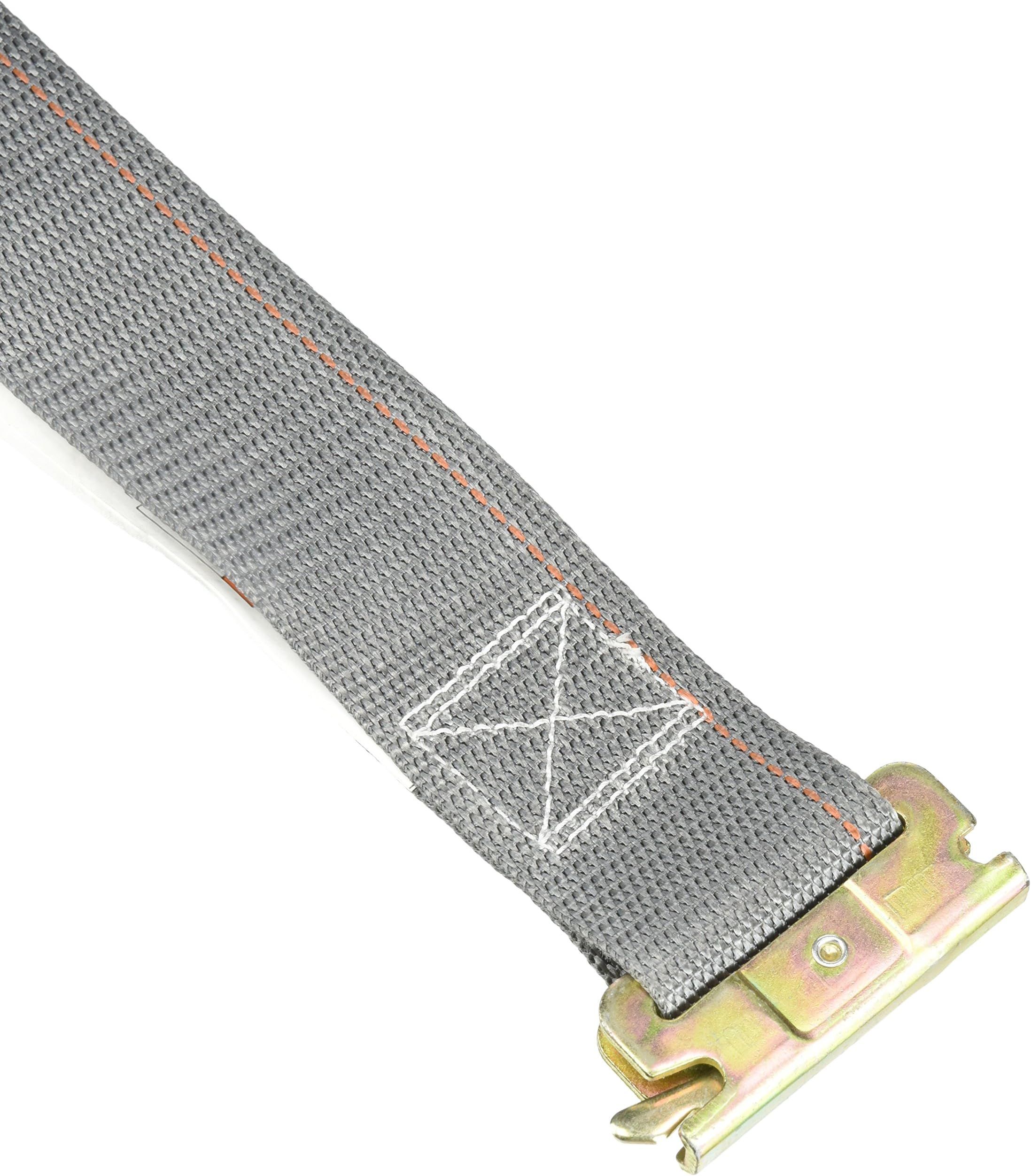 Logistic Cam Buckle Strap, 16ftx2In, 835lb, Grey