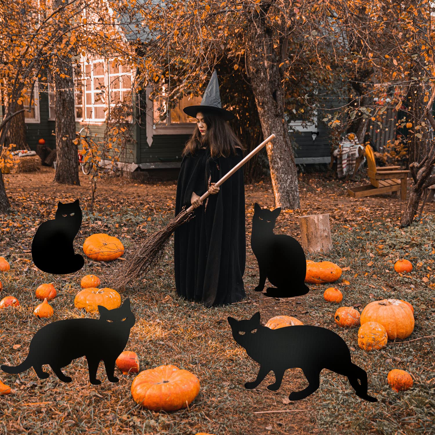 Amazon.co.jp: 黒猫 庭 サイン 4個 ハロウィンデコレーション