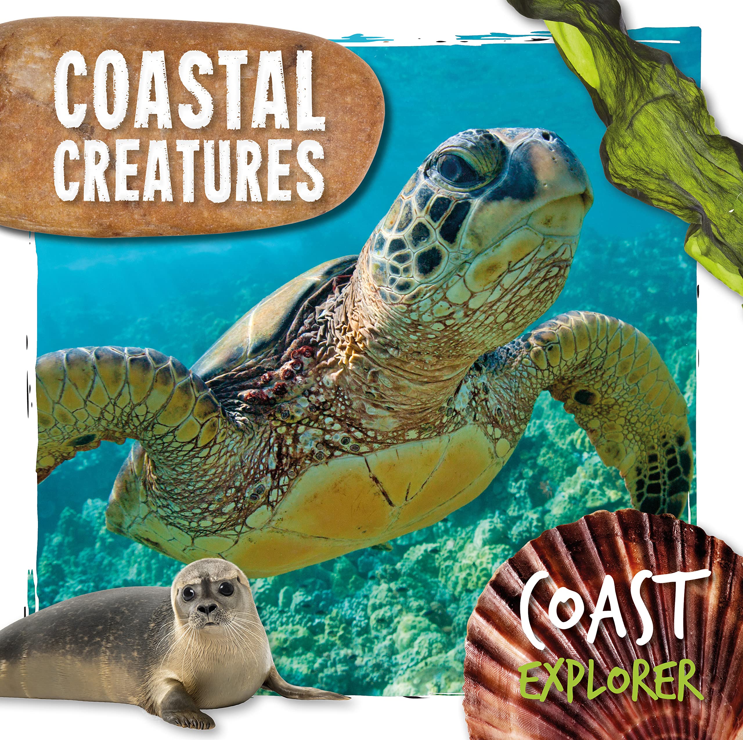 Coastal Creatures by Robin Twiddy HARDBACK 9781786379894