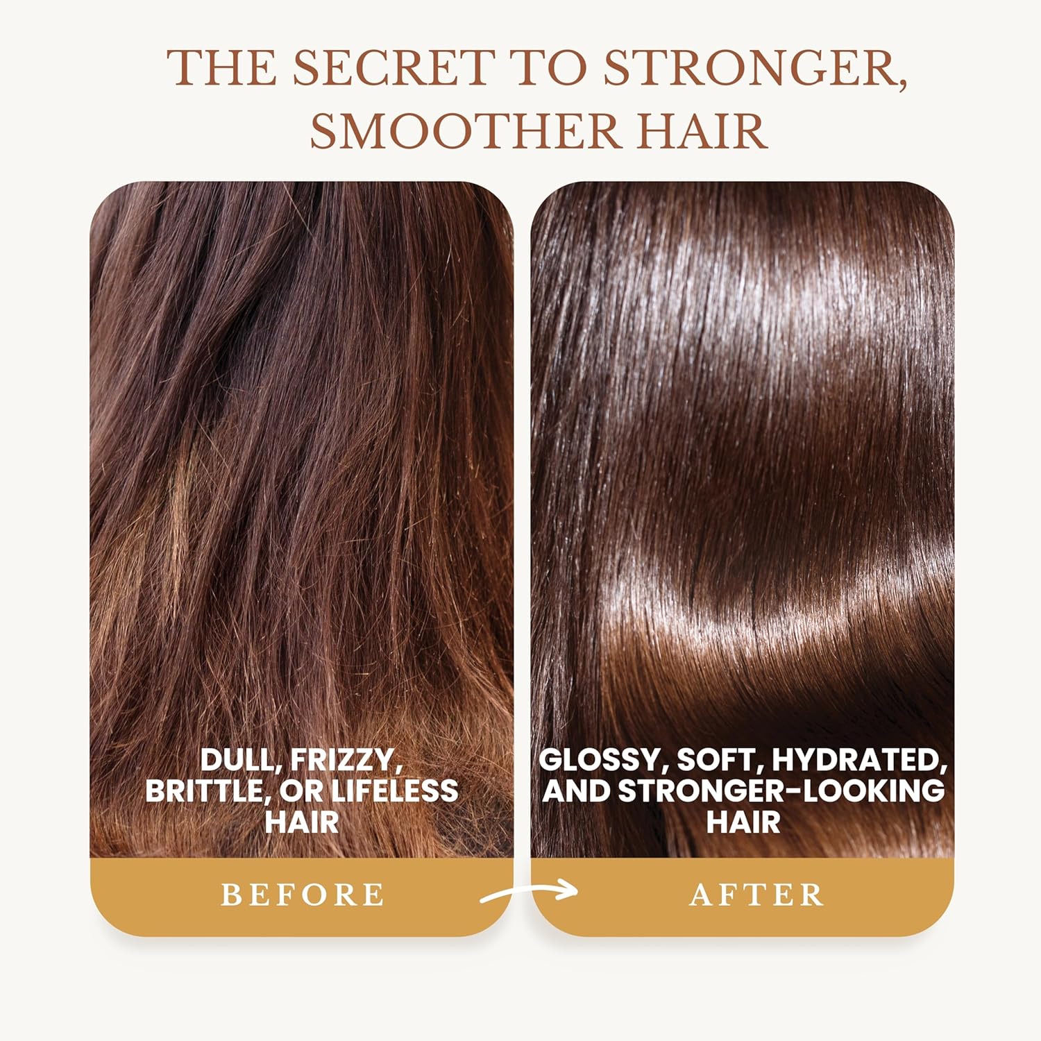 Ginger Shampoo and Conditioner Set, Fortifying Formula with Certified and Organic Ingredients Naturally Nourish, Smooth and Detangle Hair 16oz Each - Image 3