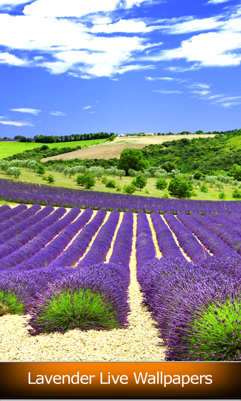 ラベンダーライブ壁紙 Amazon Co Jp Appstore For Android ラベンダーライブ壁紙 Amazon Co Jp Appstore For Android