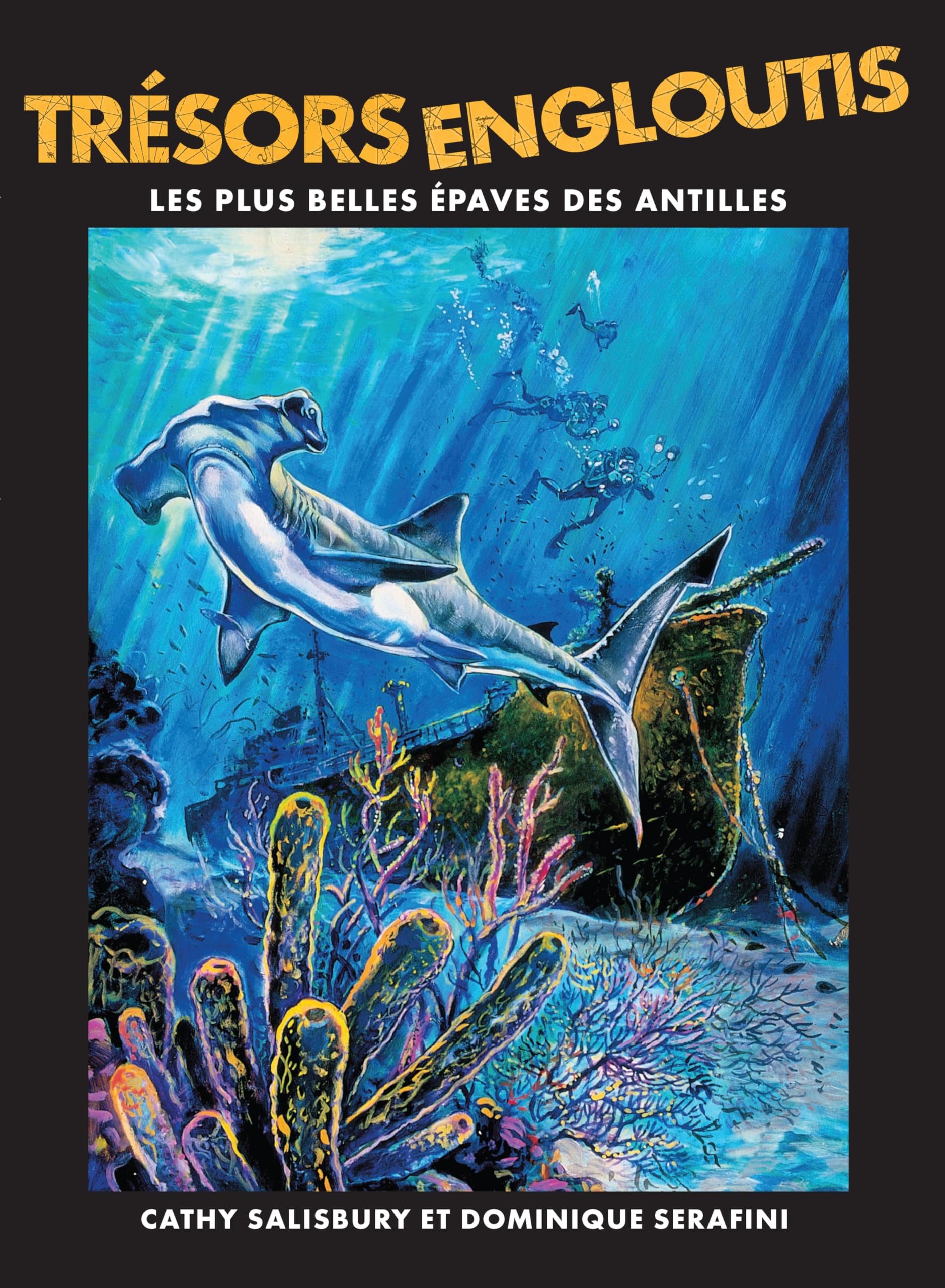 Épaves des Antilles : le livre Trésors Engloutis pour passionnés