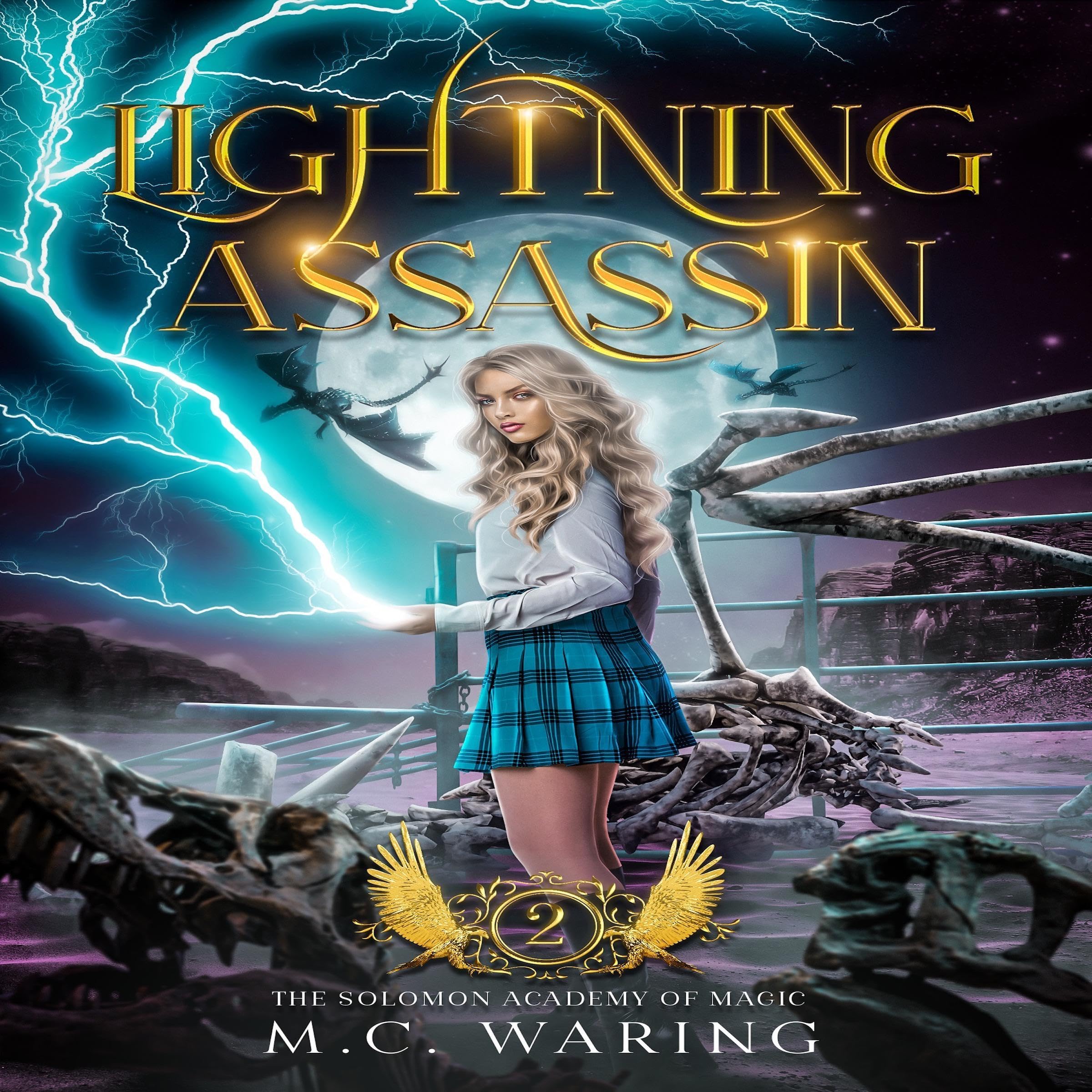 Cover art for Lightning Assassin