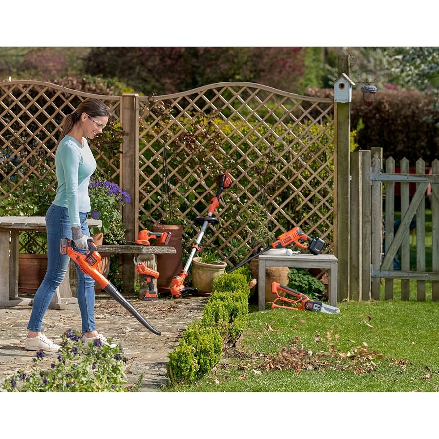 Amazon.com: BLACK + DECKER Leaf Blower with Lithium Battery