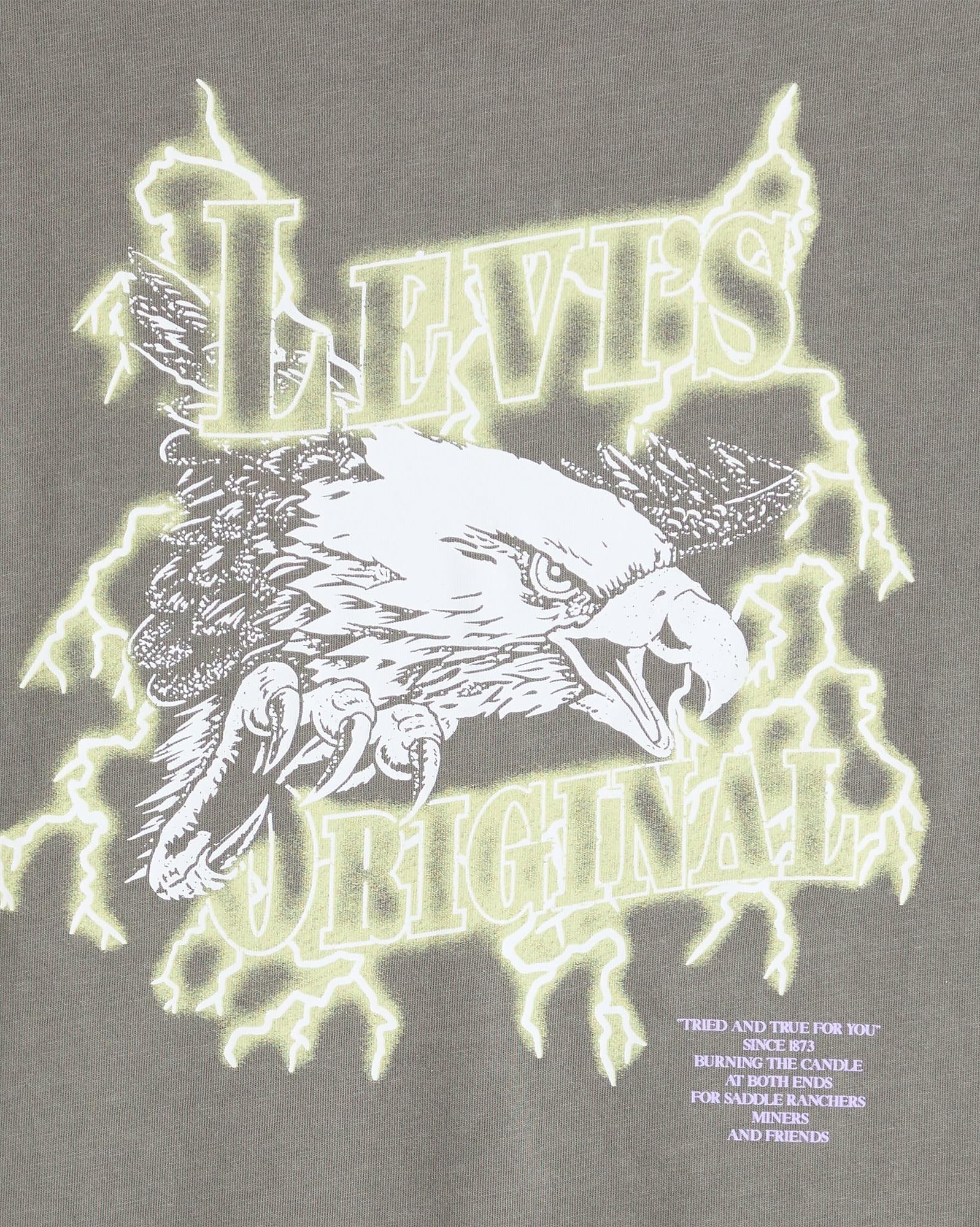 Levi's Ss Relaxed Fit Tee Lightning Eagle Smoke, Lightning Eagle Smok, L