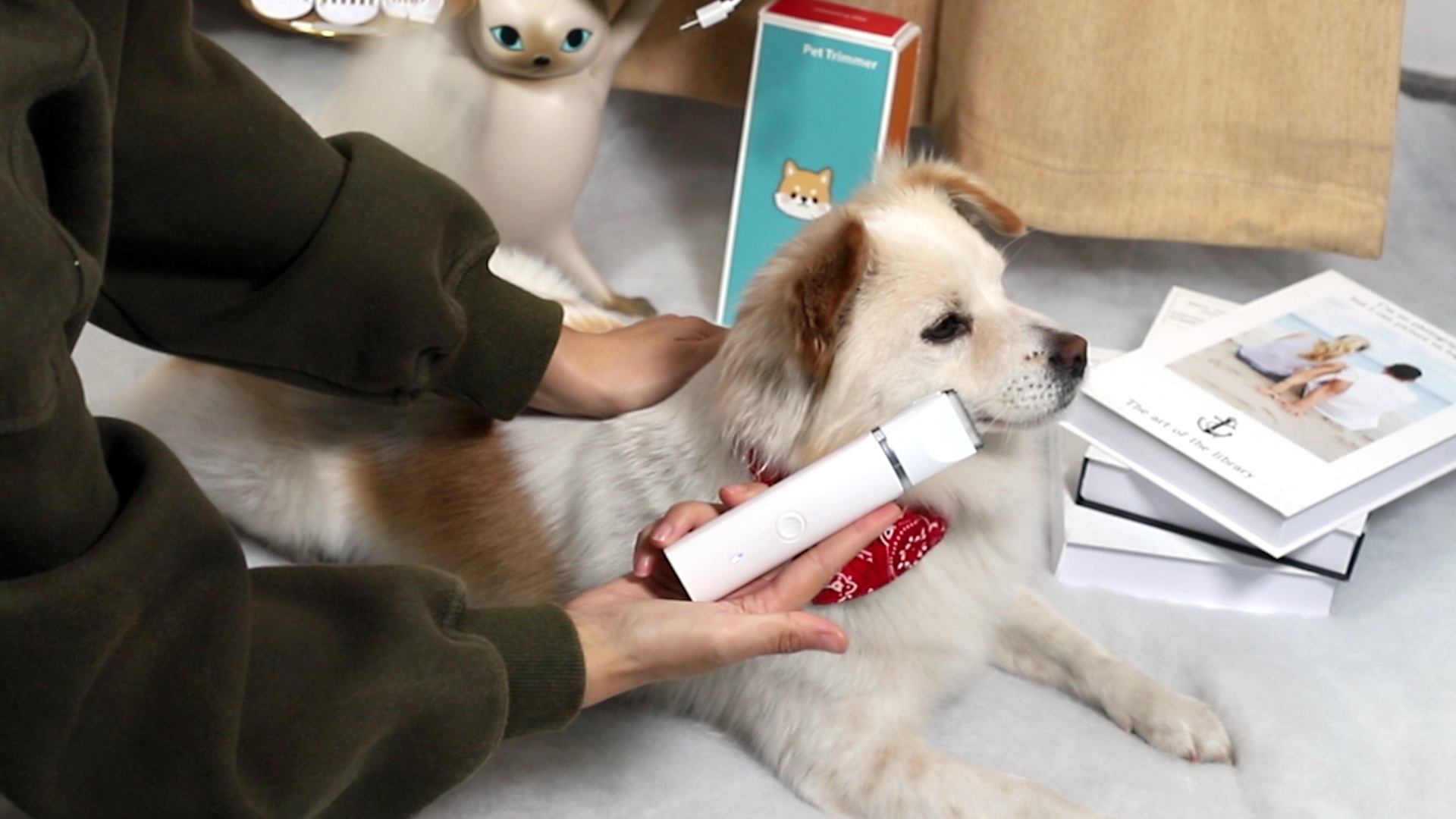 Dog Clippers for Grooming, FERRISA Professional Cordless Dog Trimmers Grooming Kit Supplies with 3 Blade Heads, Low… - Image 8