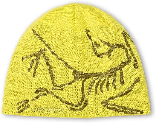 ARC'TERYX BIRD HEAD TOQUE ビーニー イエロー ARC'TERYX ニットキャップ ビーニー Bird Head Toque｜MIRISE