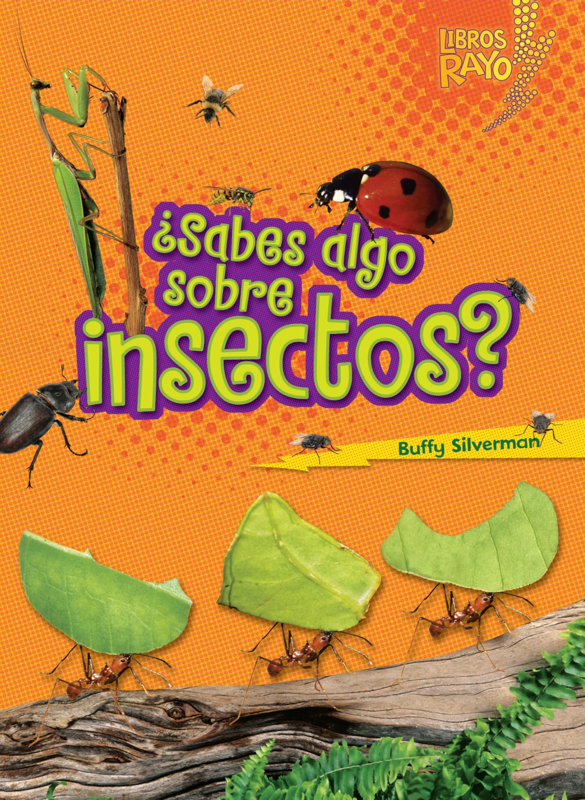¿Sabes algo sobre insectos? (Do You Know about Insects?) (Libros Rayo ― Conoce los grupos de animales (Lightning Bolt Books ® ― Meet the Animal Groups