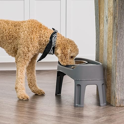 Miniatura 10 de IRIS USA Adjustable Elevated Dog Bowls, Raised Feeder with 2 Stainless Steel 64 oz Bowls, Spill-Guard Rim, 12.25" or 4.63" Heights, Durable Plastic