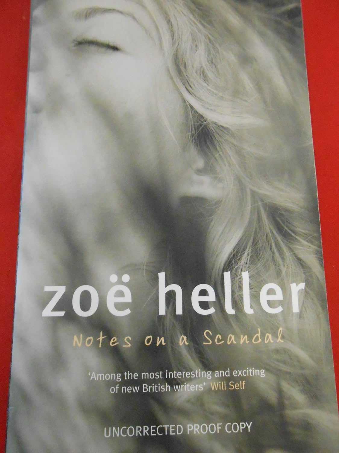 Notes on a Scandal Amazon.co.uk Heller, Zoë 9780670914067 Books