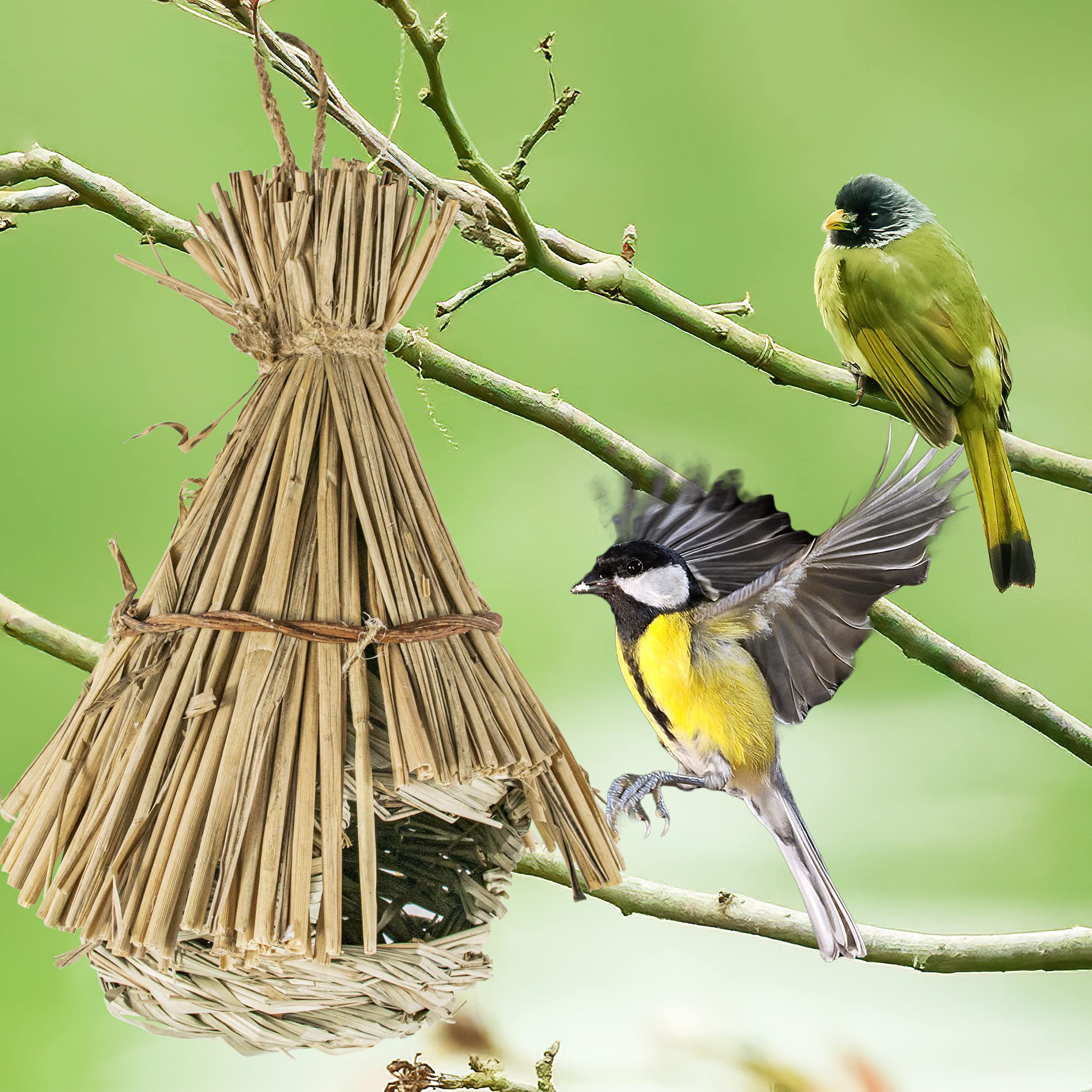 BESCH Pack 2 Nidos para Pájaros Pequeños de Hierba Natural 16x16x19cm Tejado Plano - Casita de Pajaro Colgante Exterior - Casa Pajaro Jardín — view 5