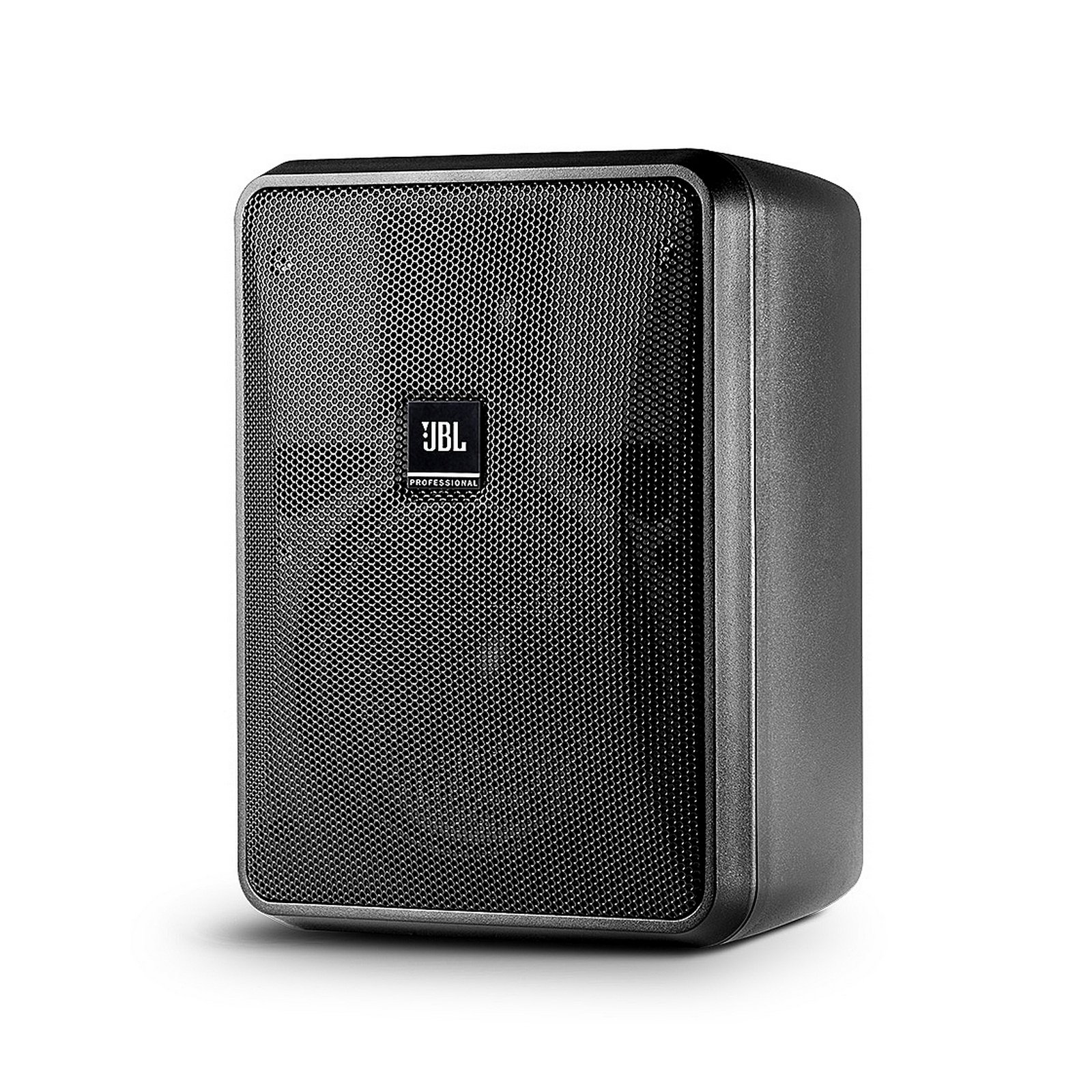 Professional Control 25-1 Compact Indoor/Outdoor Background/Foreground Speaker, Black, Sold as Pair