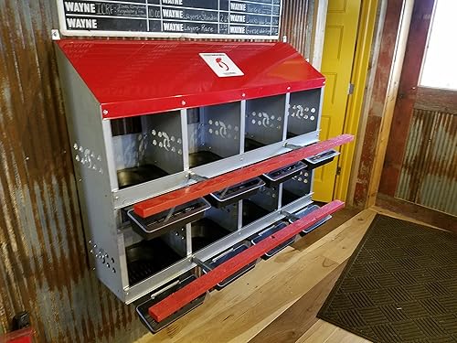 Duncan's - Cajas de anidación de aves de corral de metal de 8 agujeros para pollos, gallinas y patos, cajas grandes para poner huevos, construcción