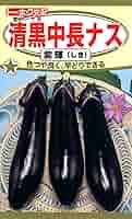 紫ナス20kg Amazon | 株式会社トーホク 清黒中長ナス 紫輝 03671 | 野菜