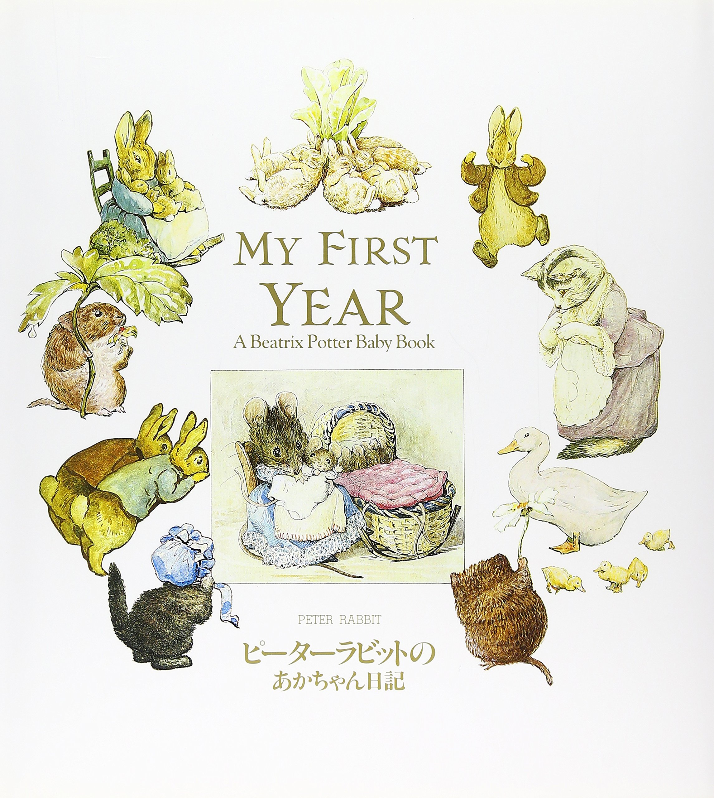 ピーターラビット ぬいぐるみ 育児日記 赤ちゃん日記 シール ポストカード100 919P2RvH3zL.jpg