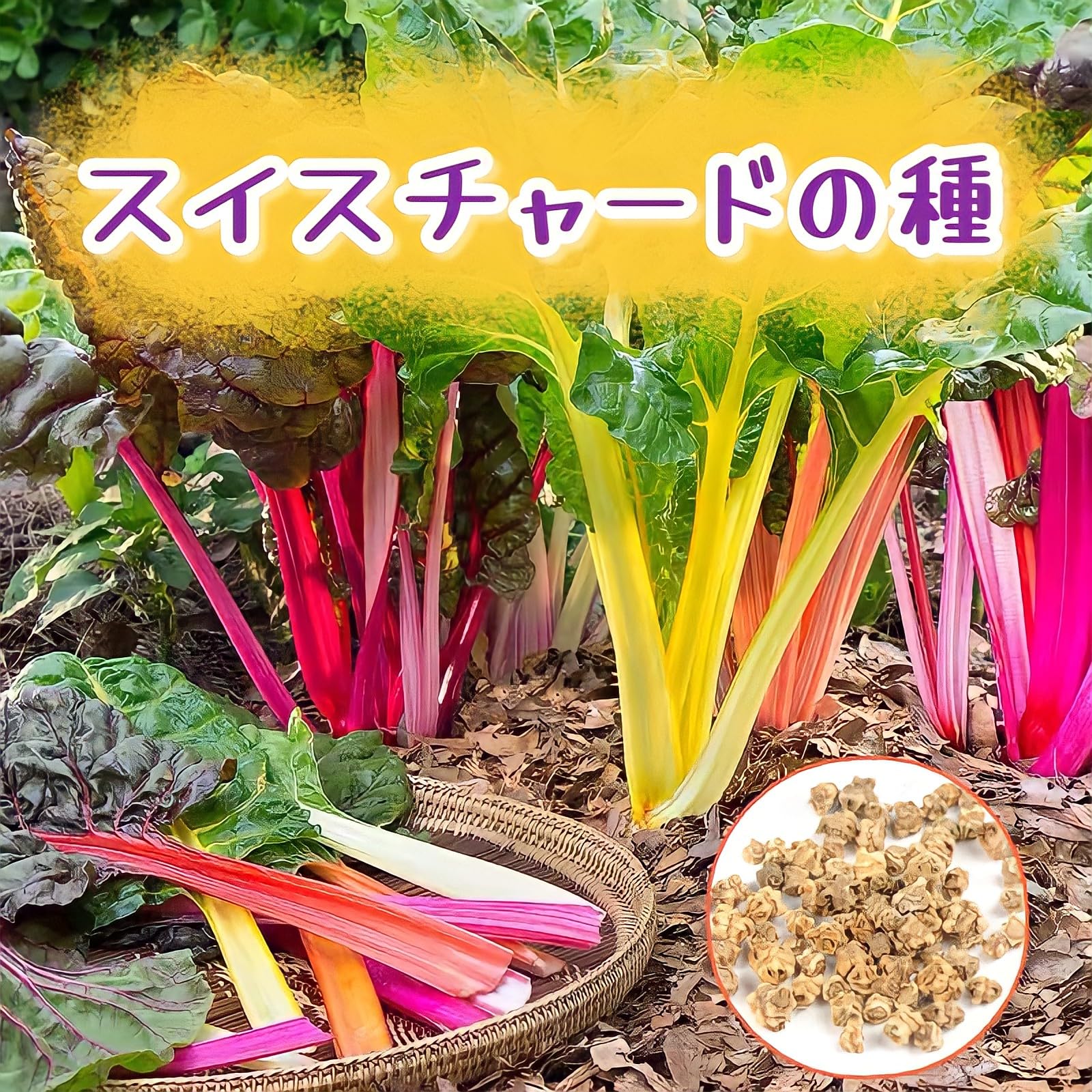 Amazon.co.jp: ウクレレ園芸SHOP ☆スイスチャード☆ Mix種子5 Amazon.co.jp: ウクレレ園芸SHOP ☆スイスチャード☆ Mix種子5
