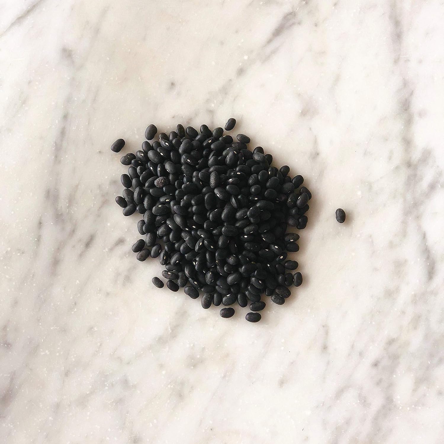 Fillo's Dry Black Beans, Premium, 1 Count, 50 Pounds Bag, Premium Quality