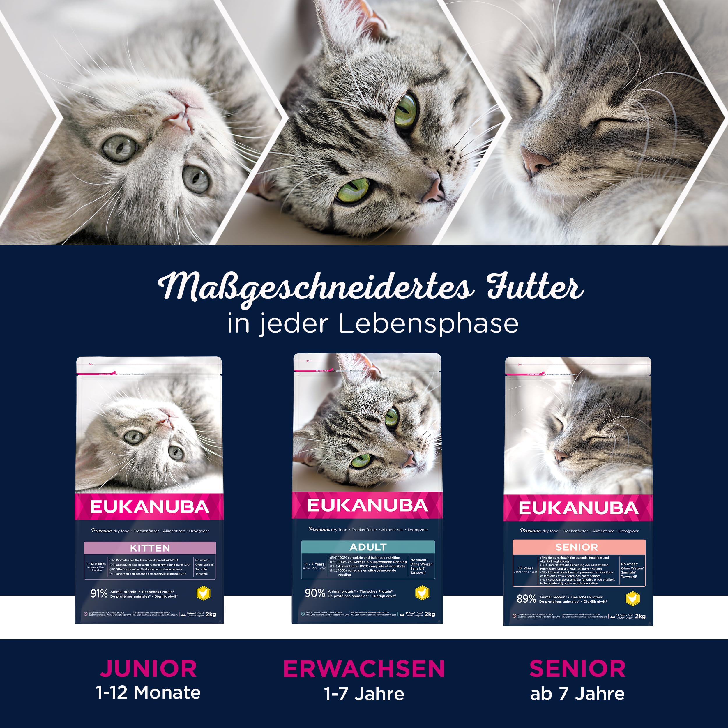 Eukanuba Katzenfutter trocken mit frischem Huhn, 10 kg | Premium Trockenfutter | mit hohem Fleischanteil | für erwachsene Katzen ab 1 Jahr