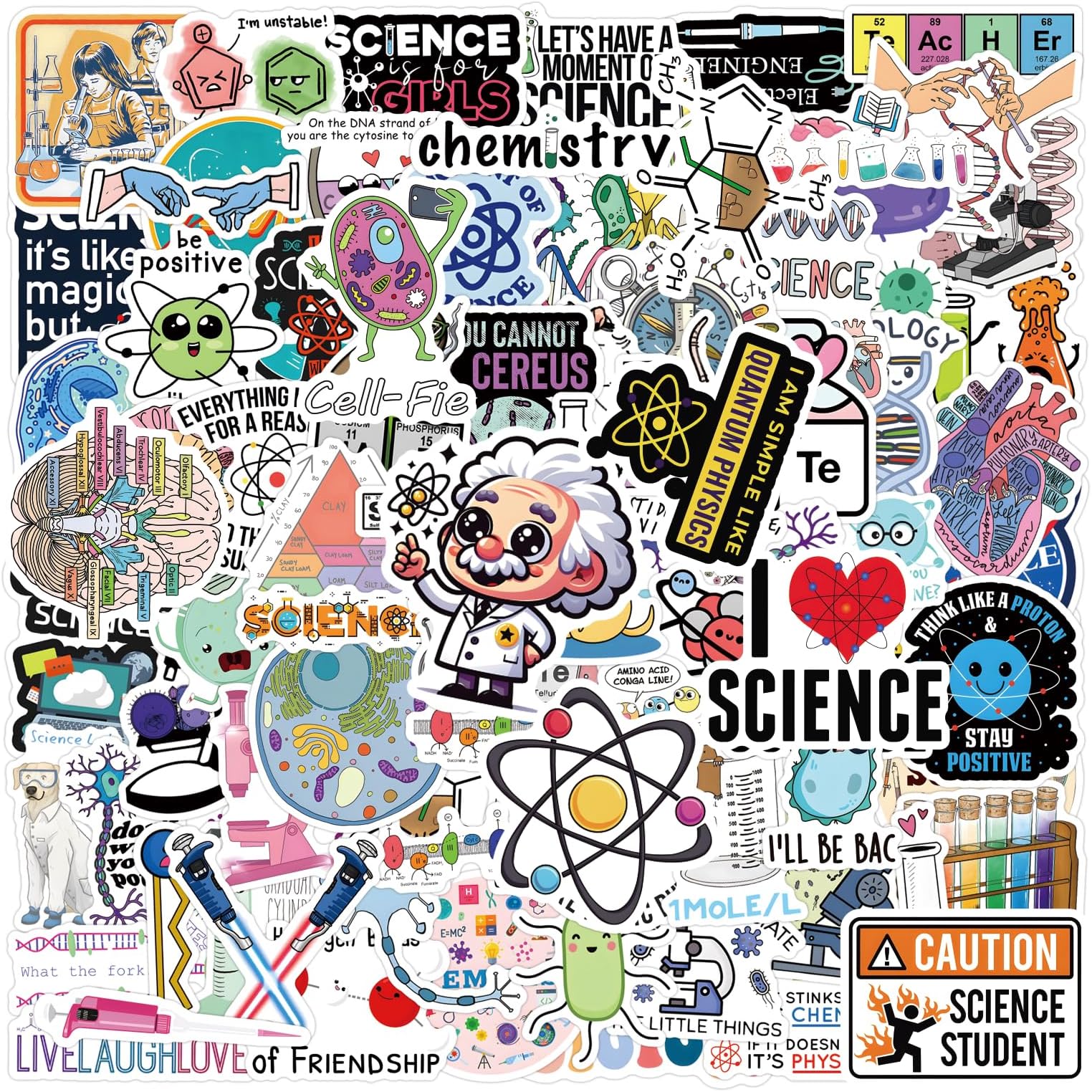 110pcs Science Stickers Pack, Chemistry, Biology, Physics, Science Classroom Decor for School Teacher Student Laboratory Sticker Decals for Laptop Water Bottle Notebook Science Party Favors and Decor