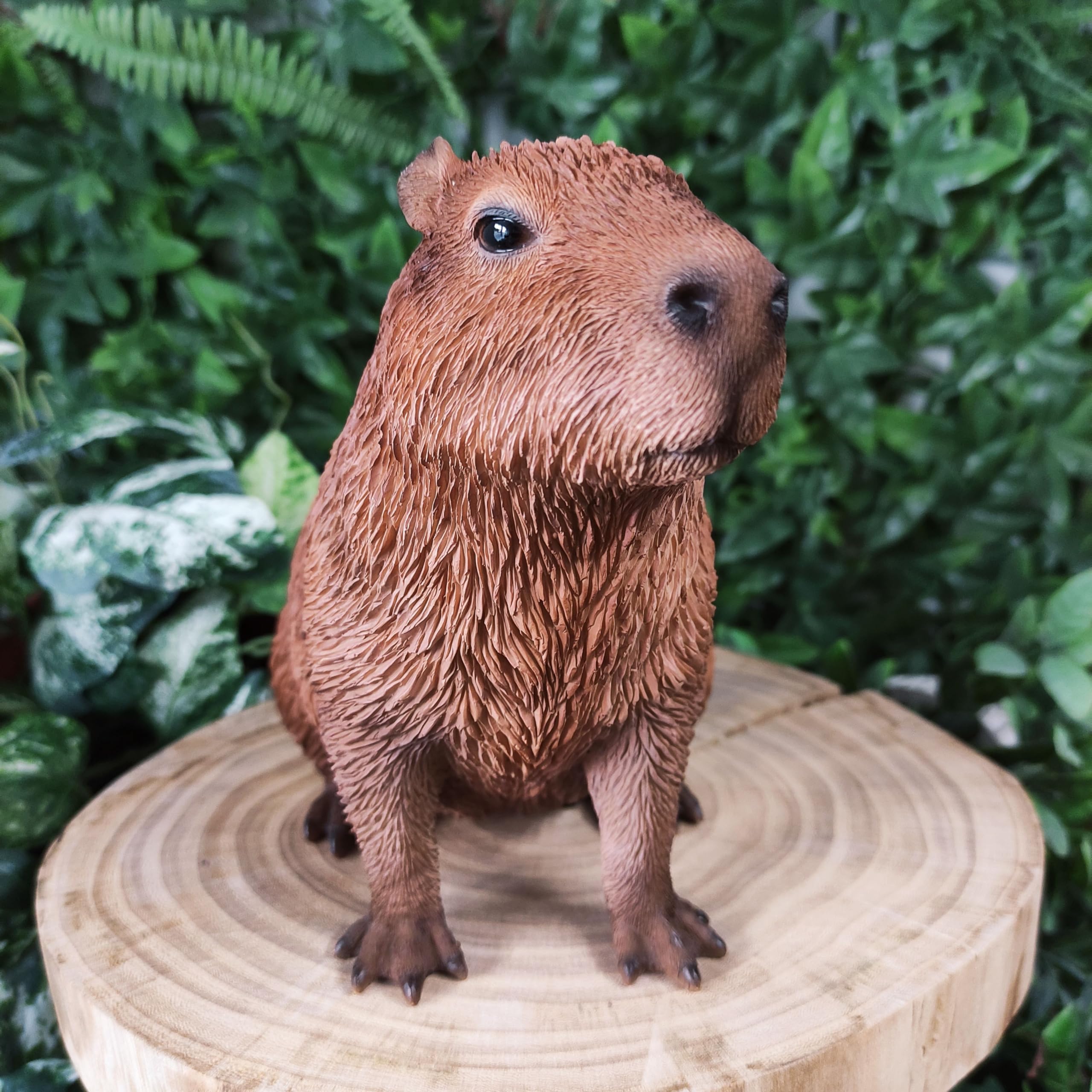 Nel Bosco Addormentato" In Scena A San Demetrio Ne' Vestini - Foto 13