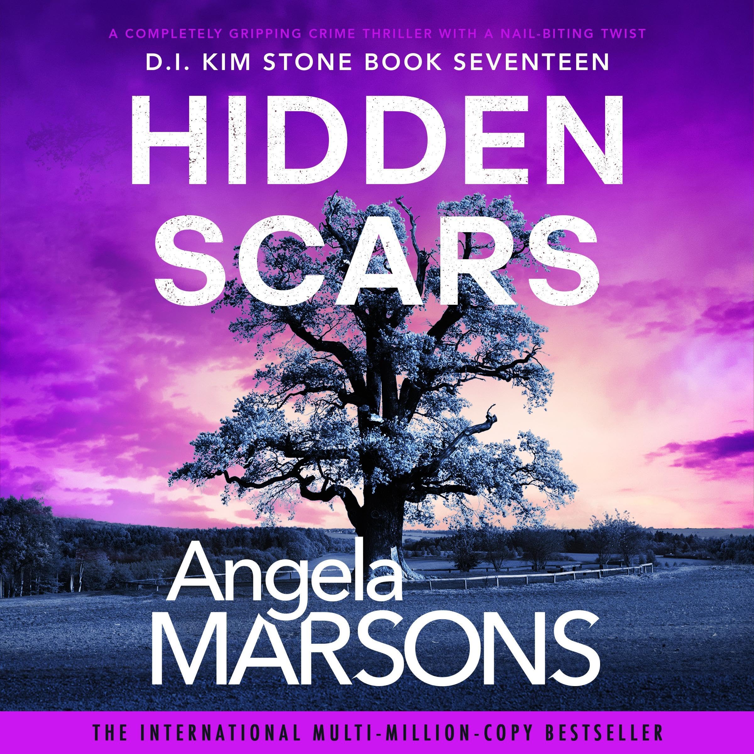 Cover art for Hidden Scars