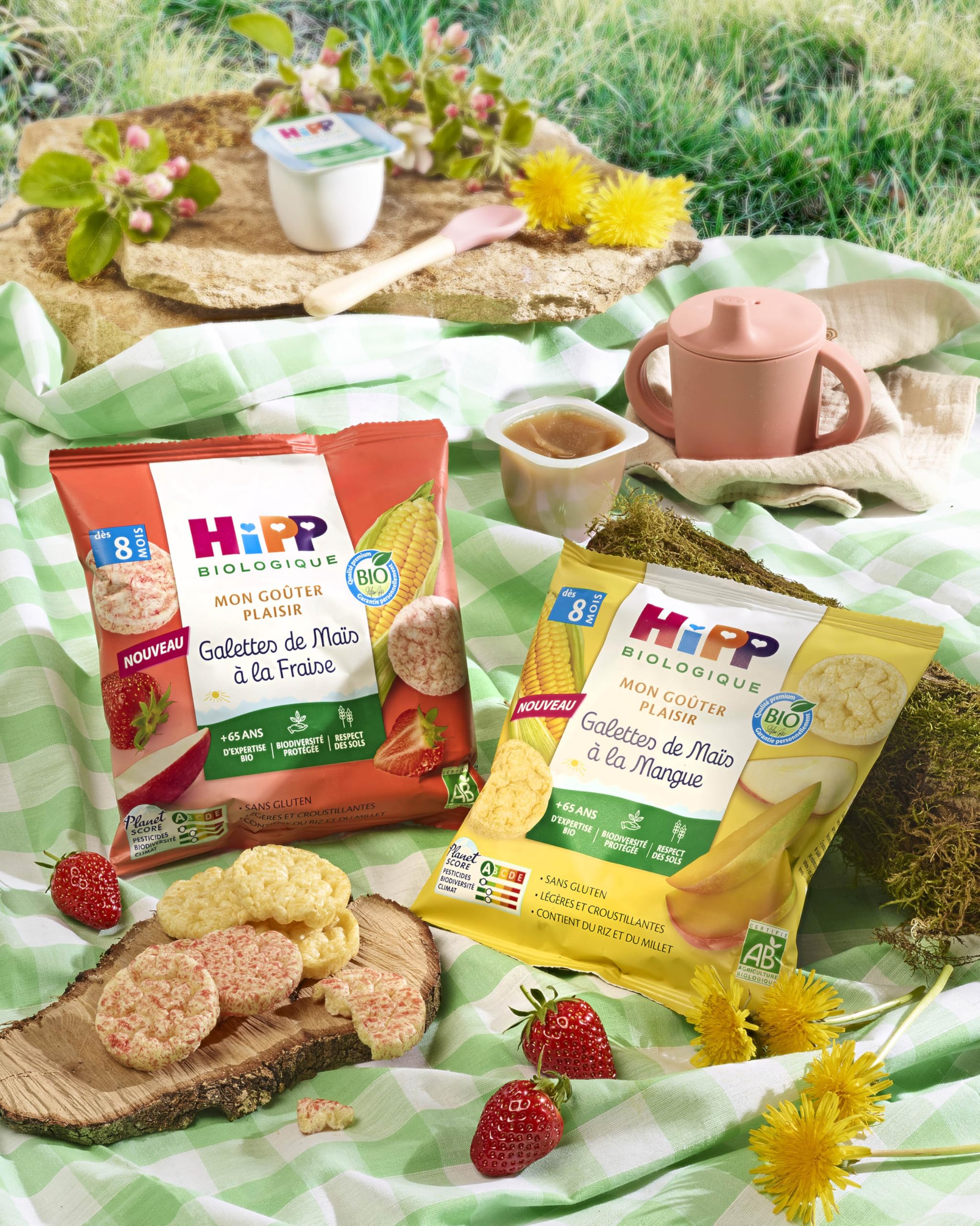 HiPP - Galette de Maïs à la Fraise Mon Goûter Plaisir - Sachet de 23g BIOLOGIQUE