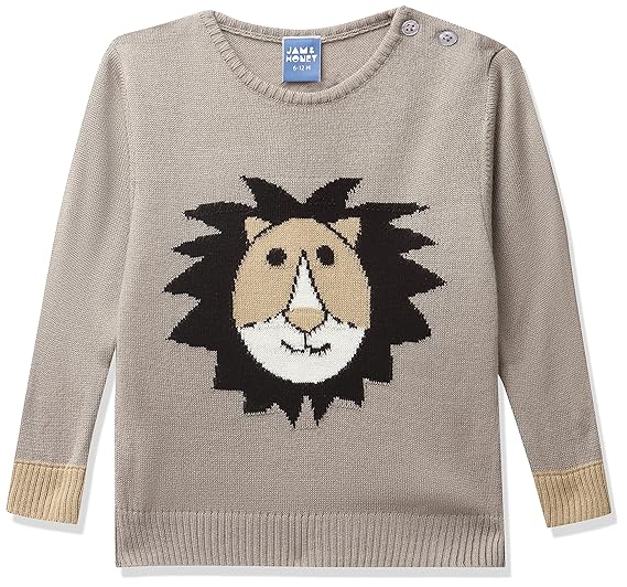 Amazon Brand - Jam & Honey Baby-Boys Casual Acrylic Sweater (AW21JH-IBSWT-921_Grey Mel