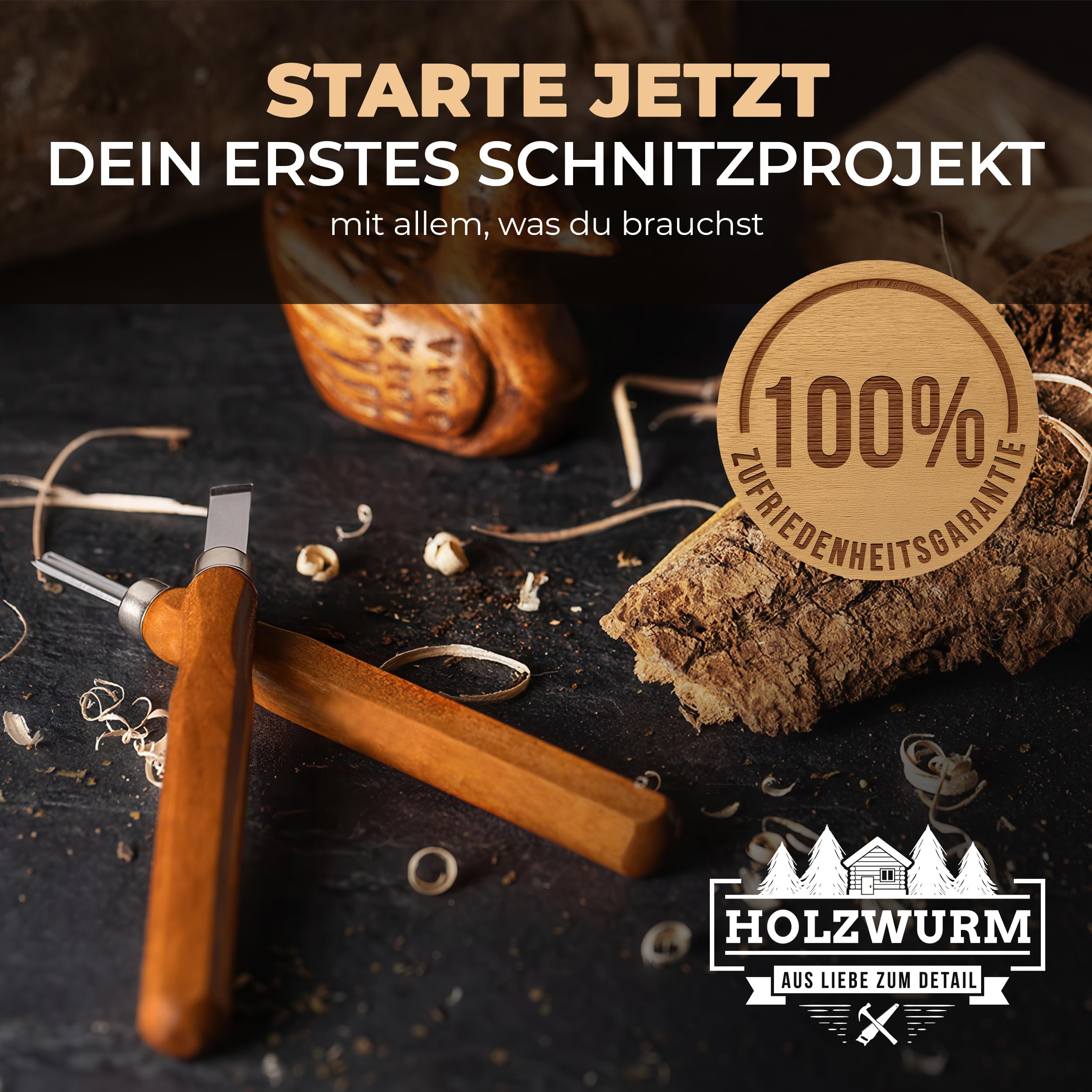 HOLZWURM Juego de herramientas de tallado de madera 12 piezas, con bolsa, instrucciones (EN) y piedra de afilar, juego de cuchillos de tallado ideal para principiantes y profesionales