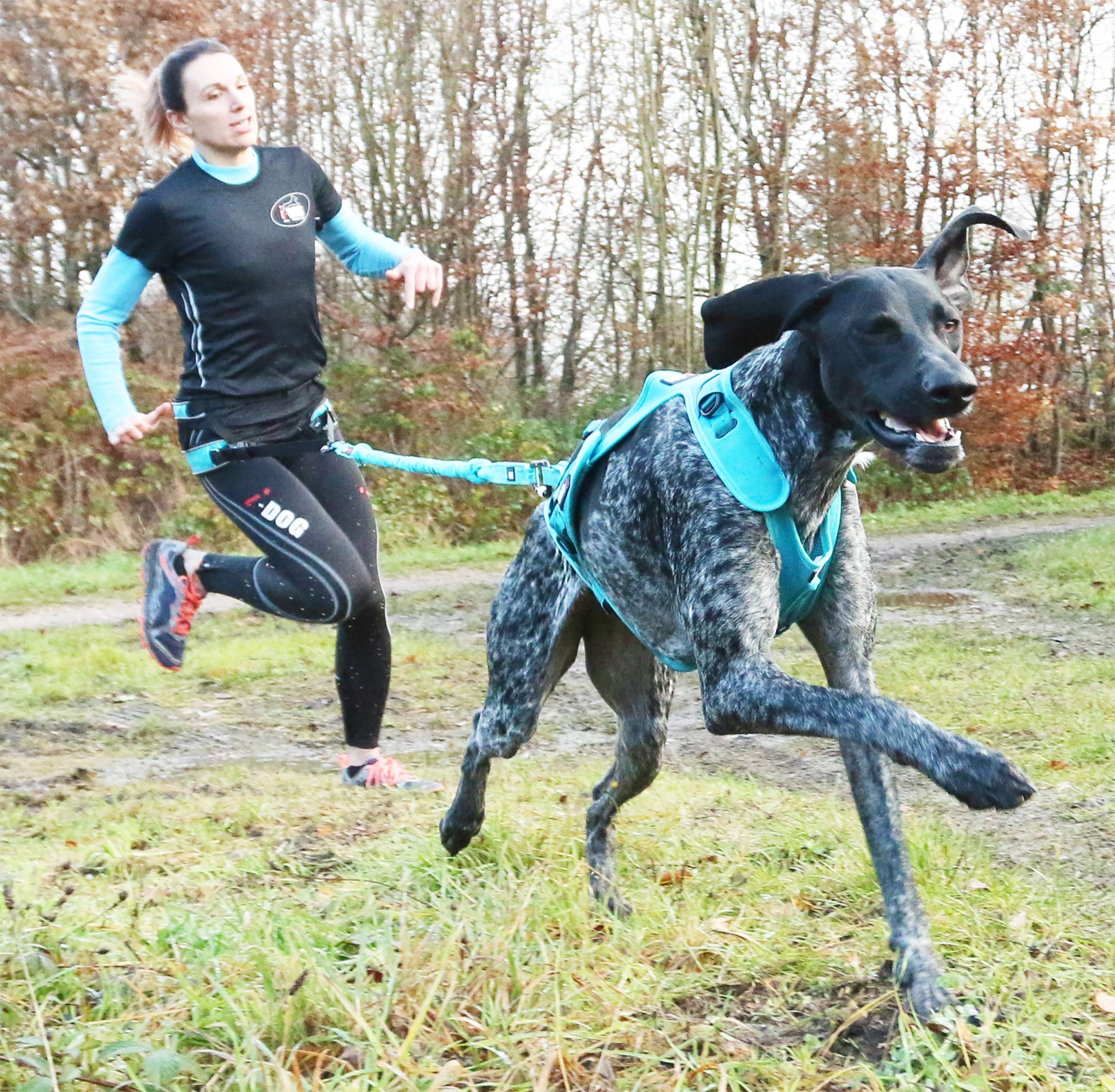Longe Opale Gamme ALM Coloris Bleu cani Cross, cani Rando, cani Jogging, cani Trail, Utilisation Intense Sportive ou Loisirs, I-dog est Une Marque Française. (Long Strong Dog, 240)