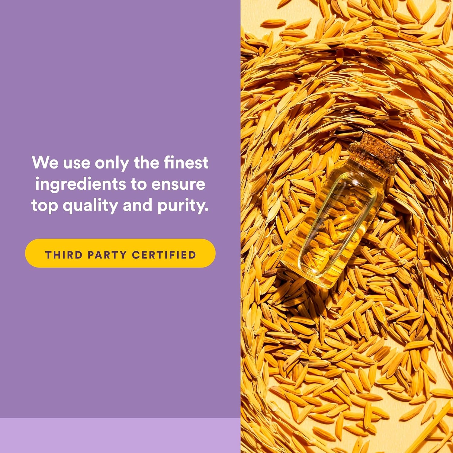 Natural Factors Coenzyme Q10 - Antioxidant Support Supplement Supports Cellular Energy Production - Better Absorption Aids Healthy Heart Function - 200 mg, 60 Softgels (60 Servings) - Image 5