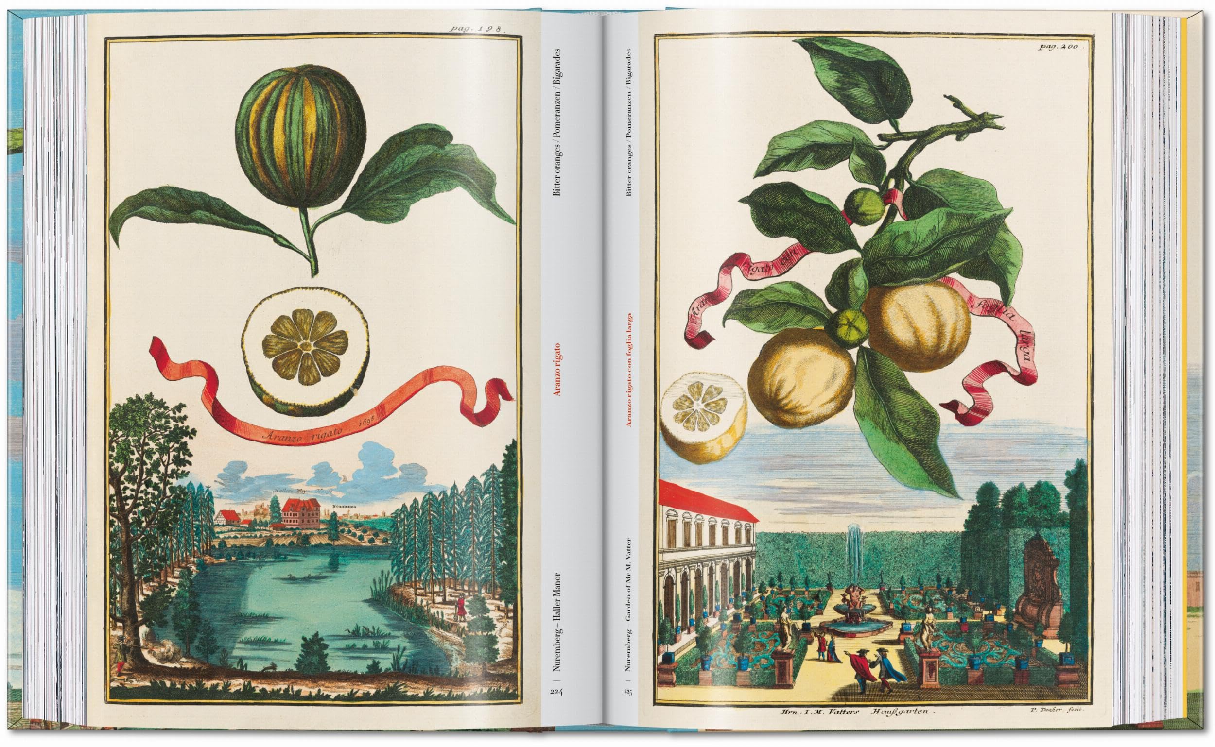J.C. Volkamer: The Book of Citrus Fruits. 45th Ed.