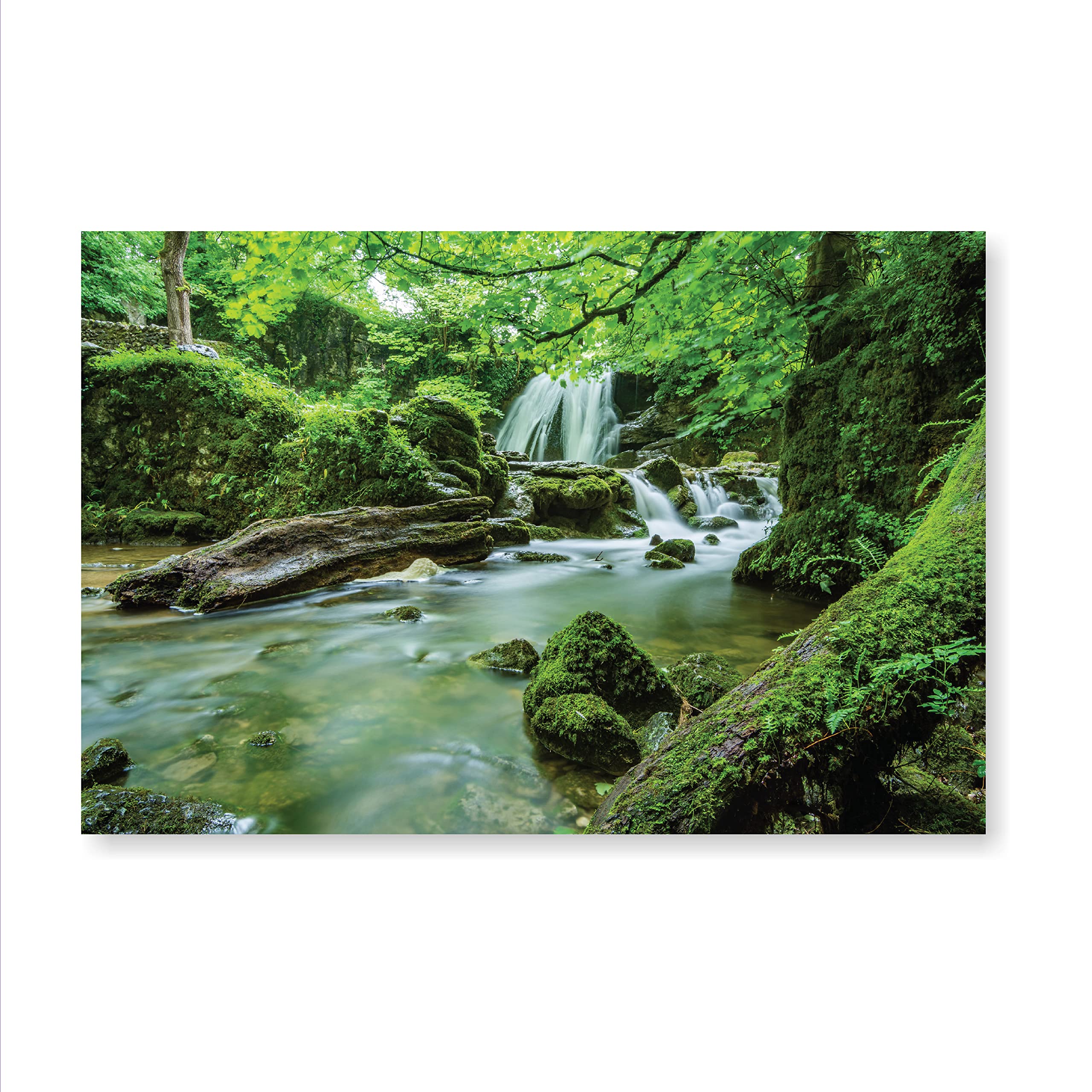 SR CREATIVE CRAFT Nature Wall Poster for Entrance/Living Room/Office/Hall Wall Decor/Wall Poster for Decoration|Glossy Finish Paper Poster(24x36 Inch) pattern-32