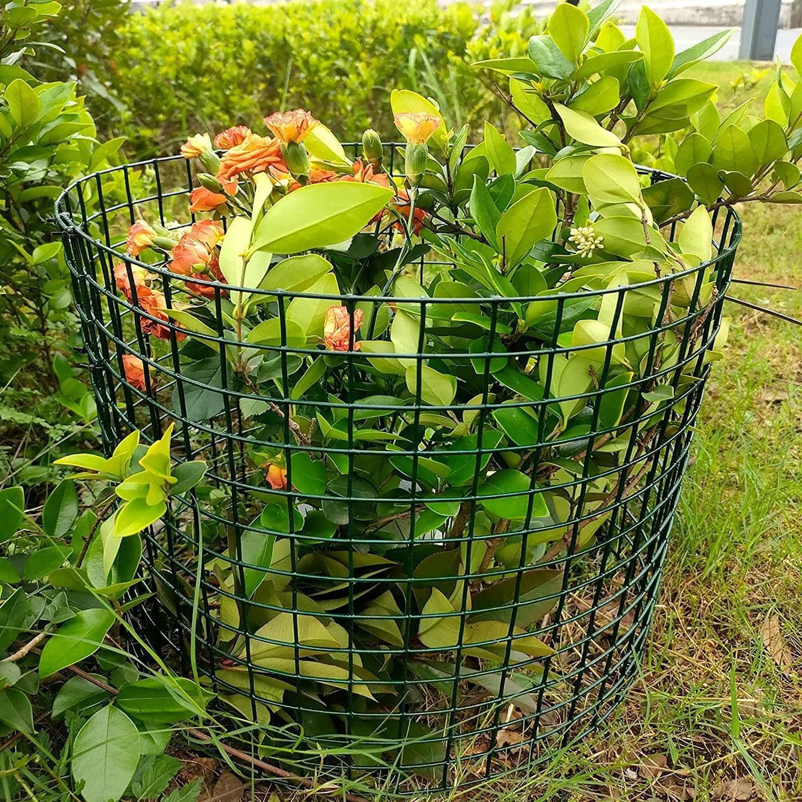 Animal Protect Plant Ca Pflanzenschutz aus Draht mit Erdspießen, Gartenabwehr zum Schutz von Pflanzen, Vetables vor Schädlingen, 42,8 x 33 cm, 10 Stück