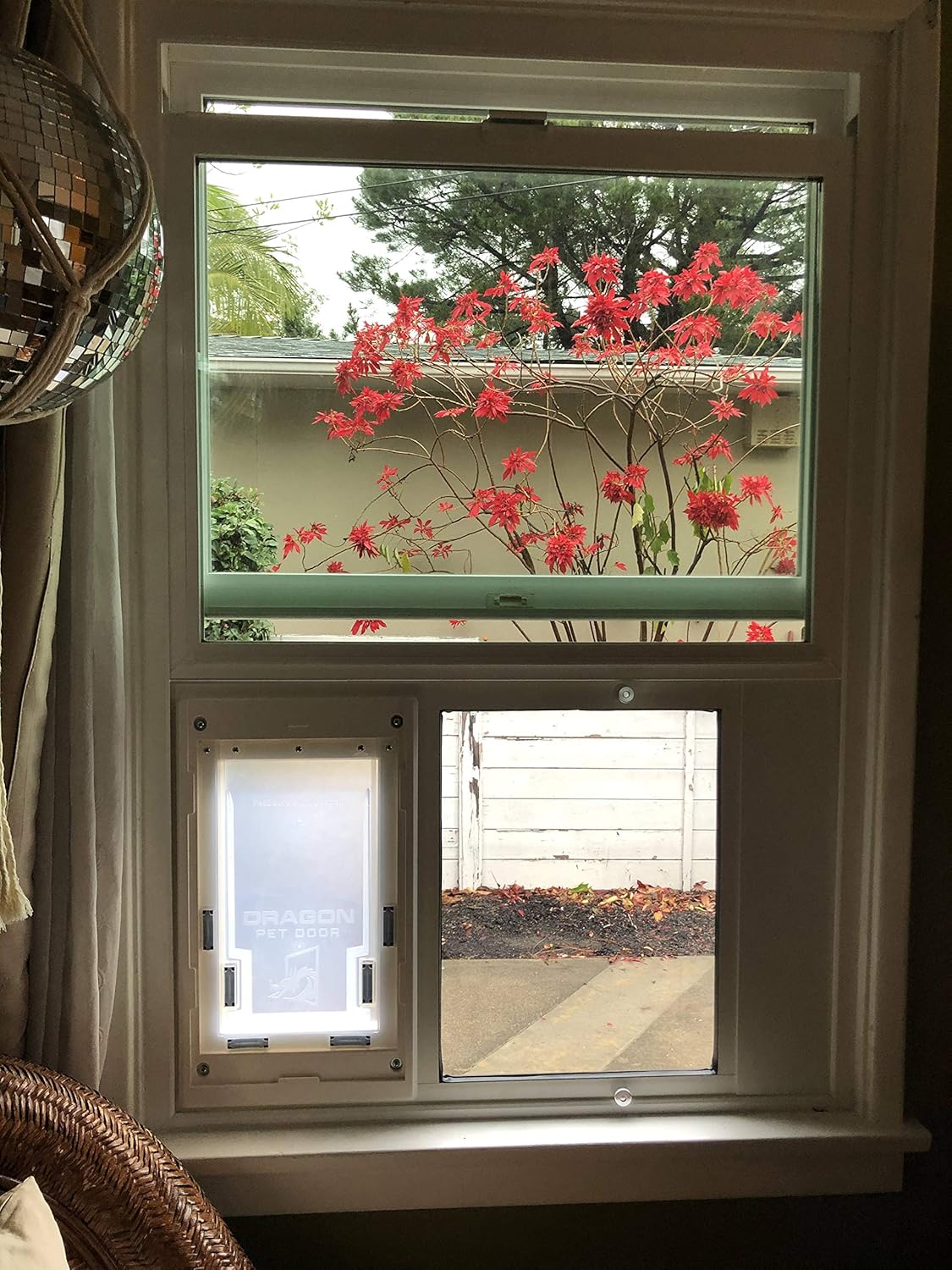 petsafe electronic sash window dog door